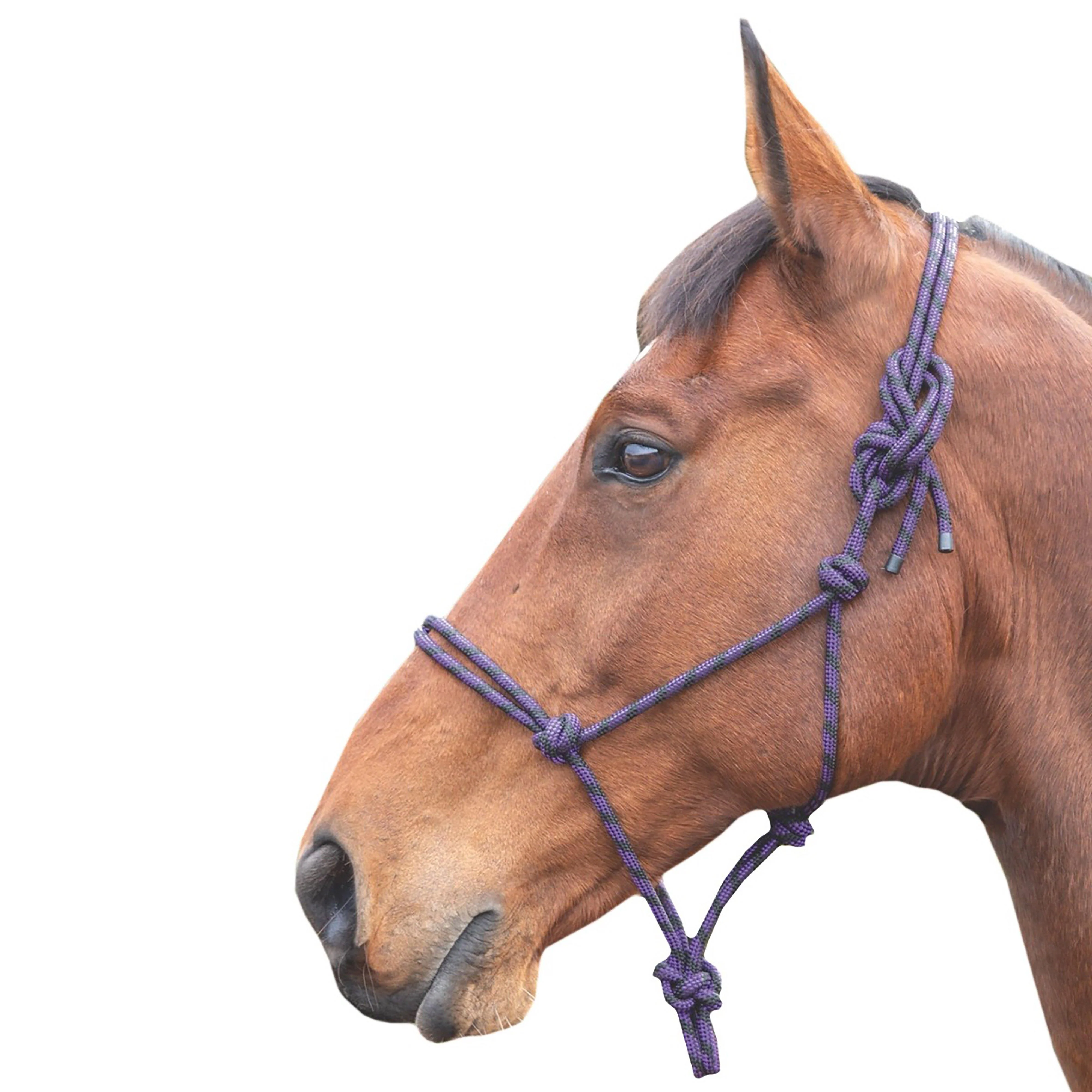Shires Adjustable Rope Halter Purple/Black - Image 2