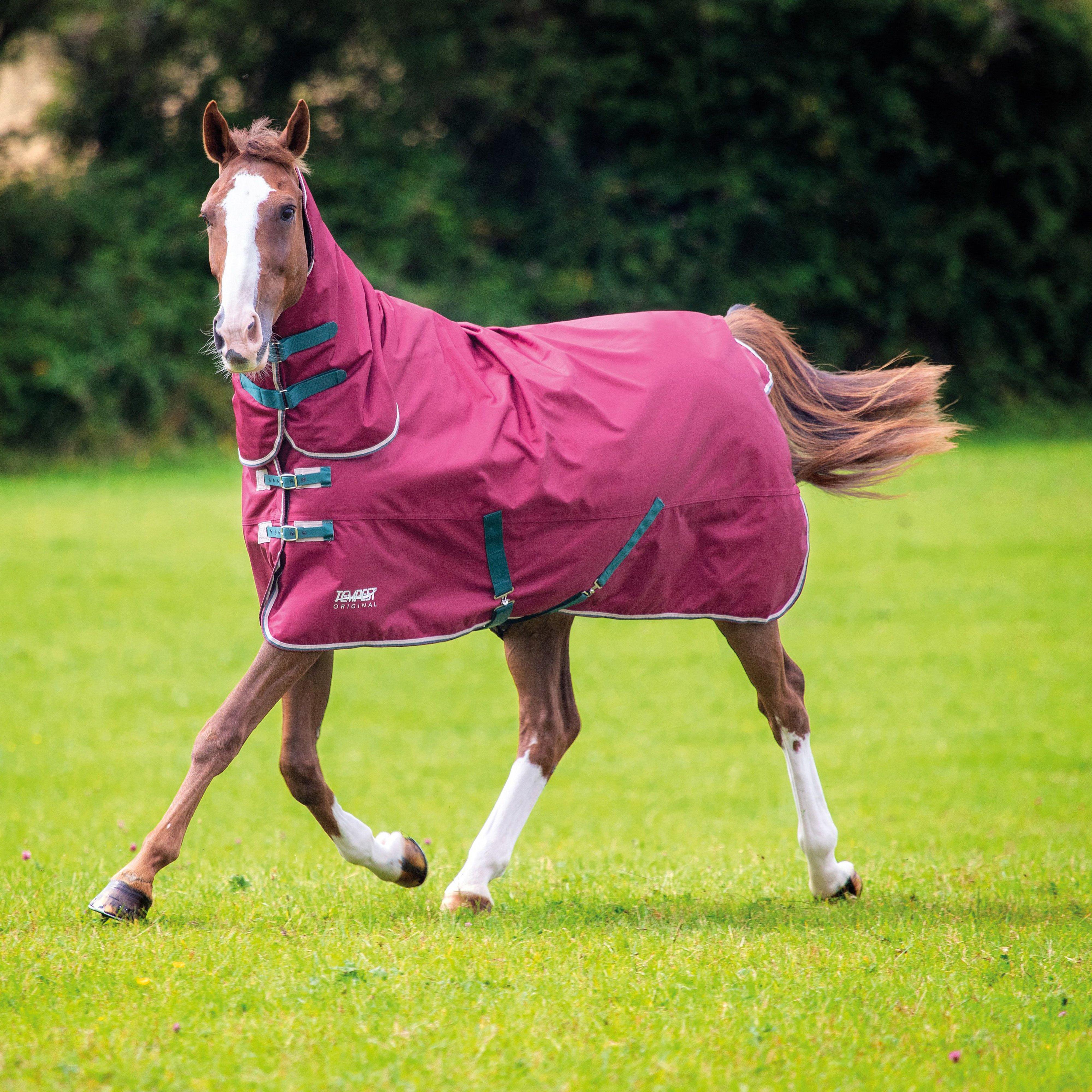 Tempest Original 200g Combo Neck Turnout Rug Maroon - Image 9