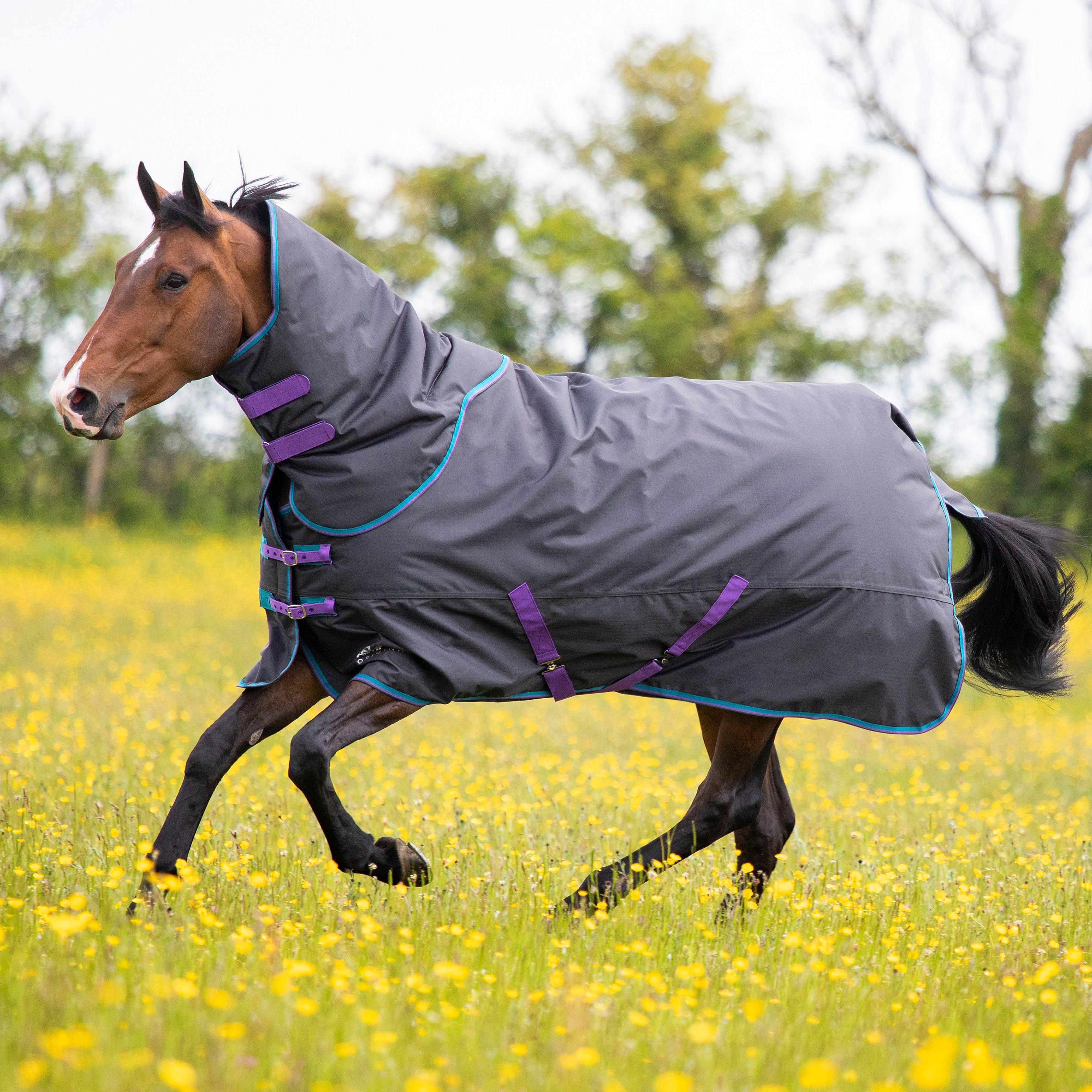 Tempest Original 300g Detach-A -Neck Turnout Rug Black
