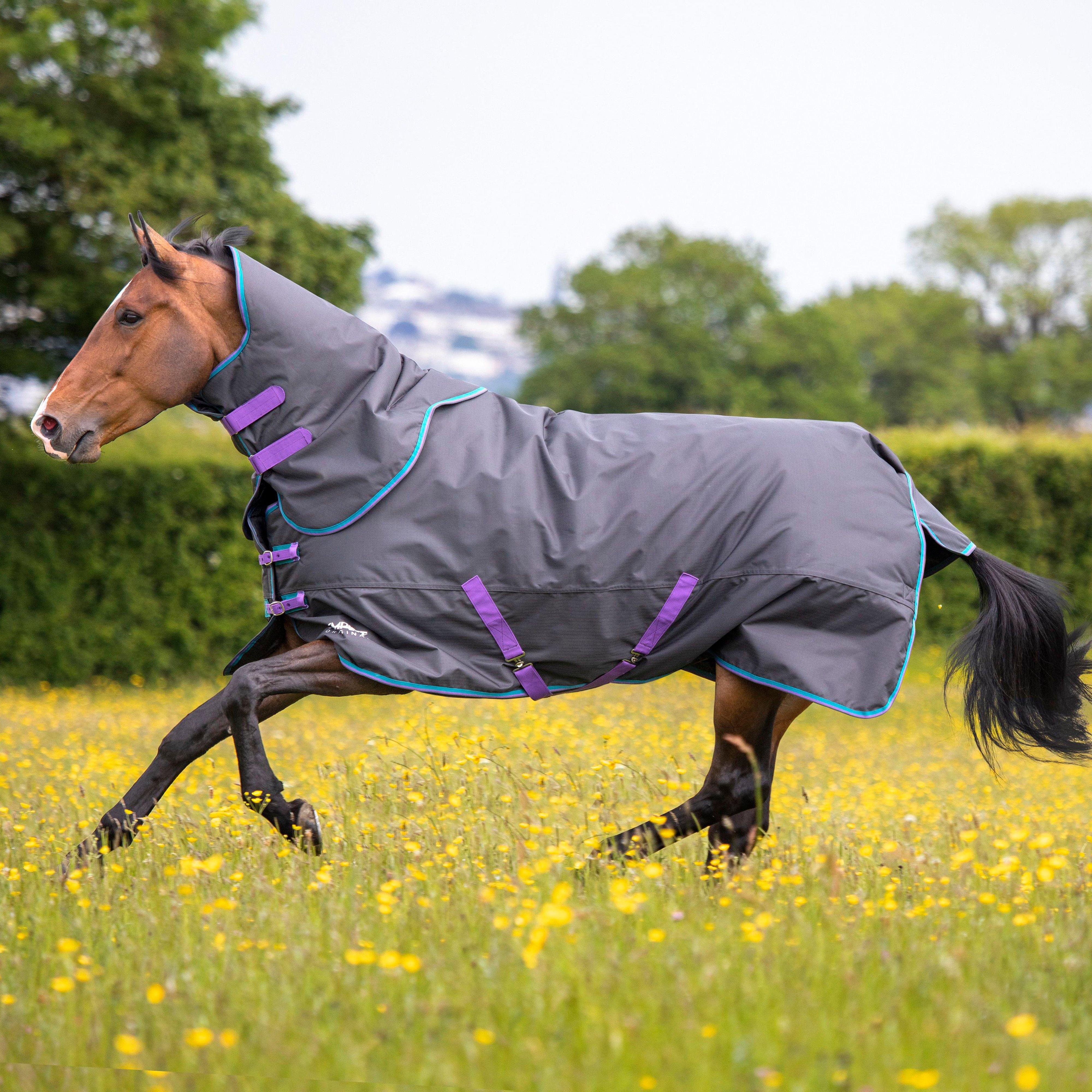 Tempest Original 300g Detach-A -Neck Turnout Rug Black - Image 2