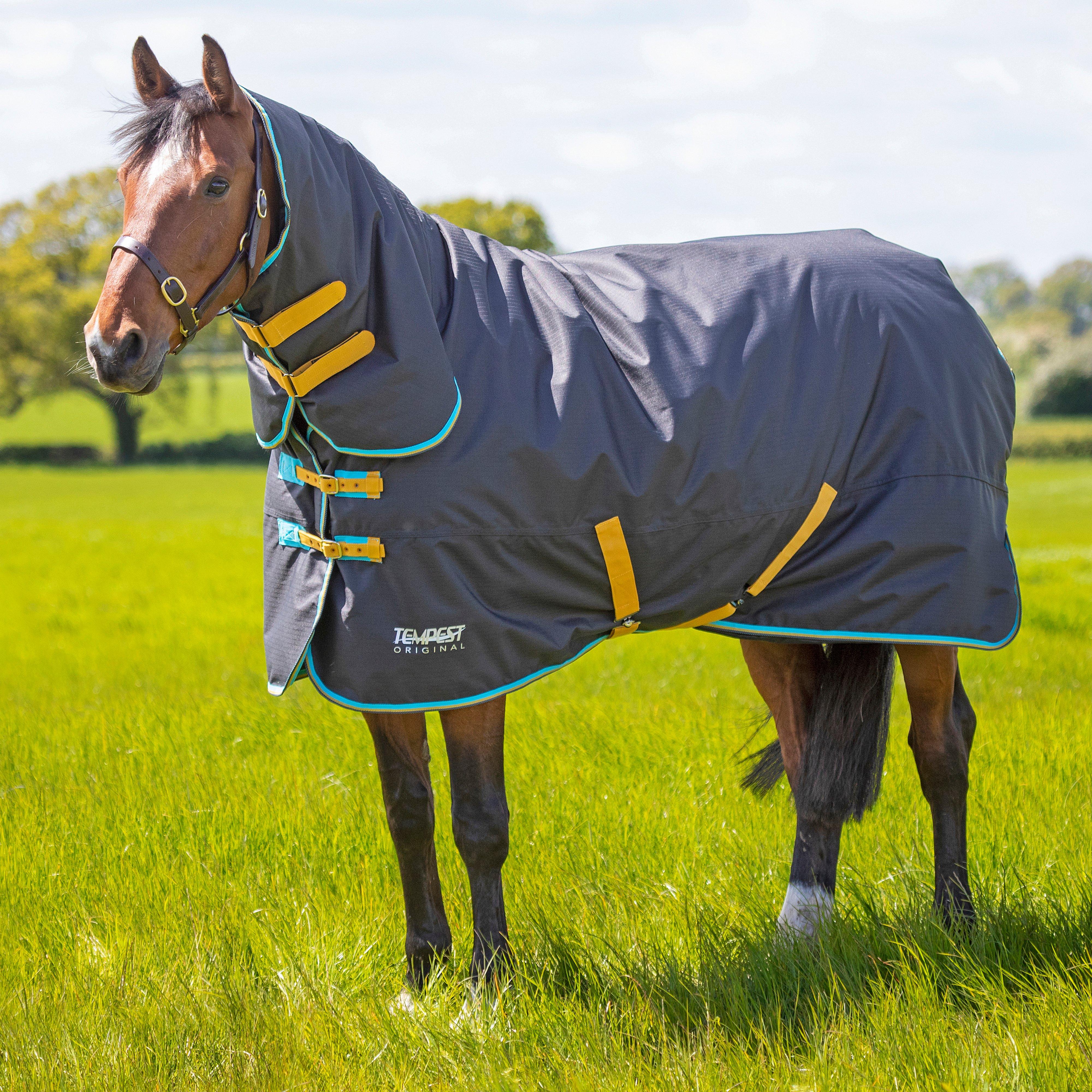 Tempest Original 300g Heavyweight Combo Neck Turnout Rug Black - Image 2