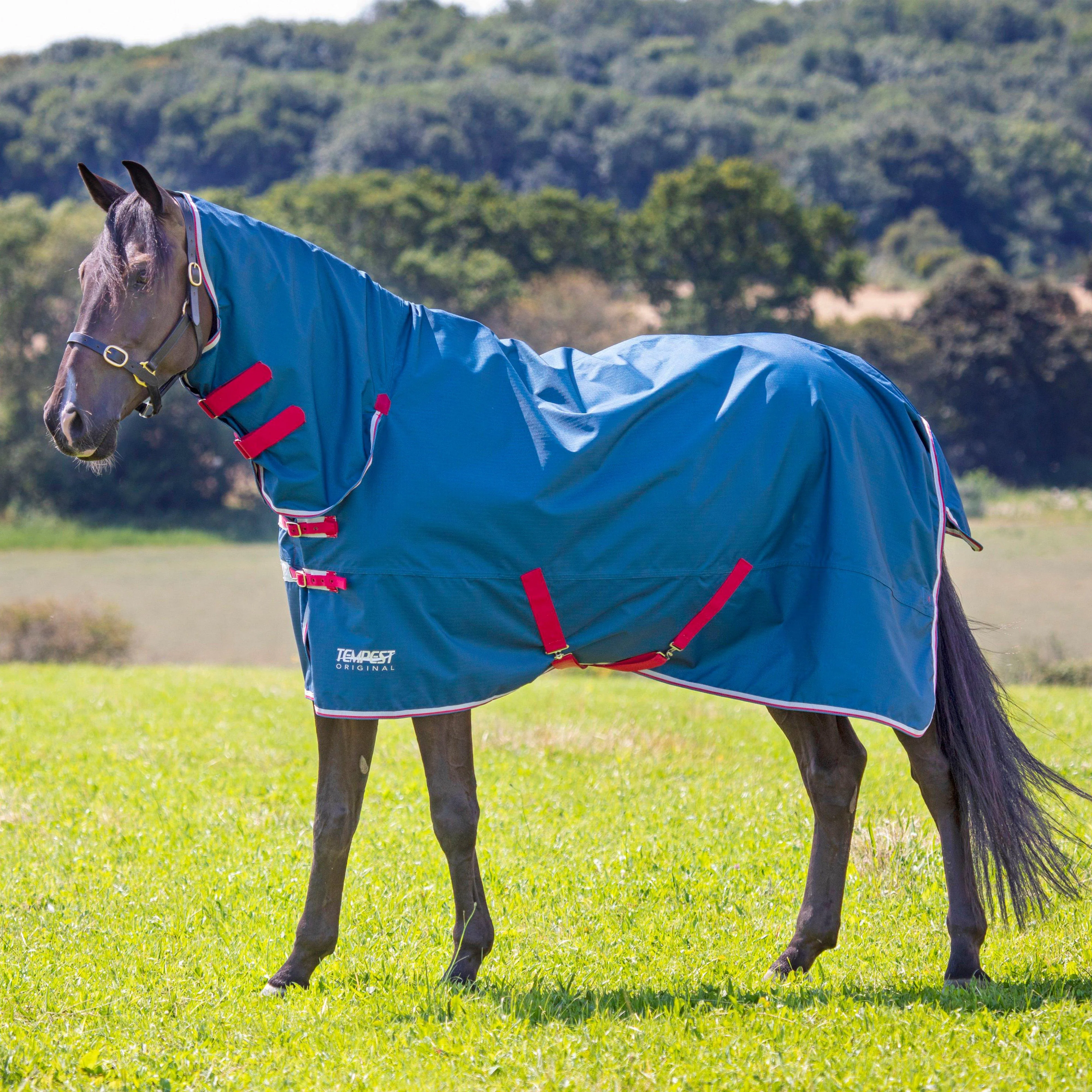 Tempest Original Lite 0g Combo Neck Turnout Rug Teal - Image 11
