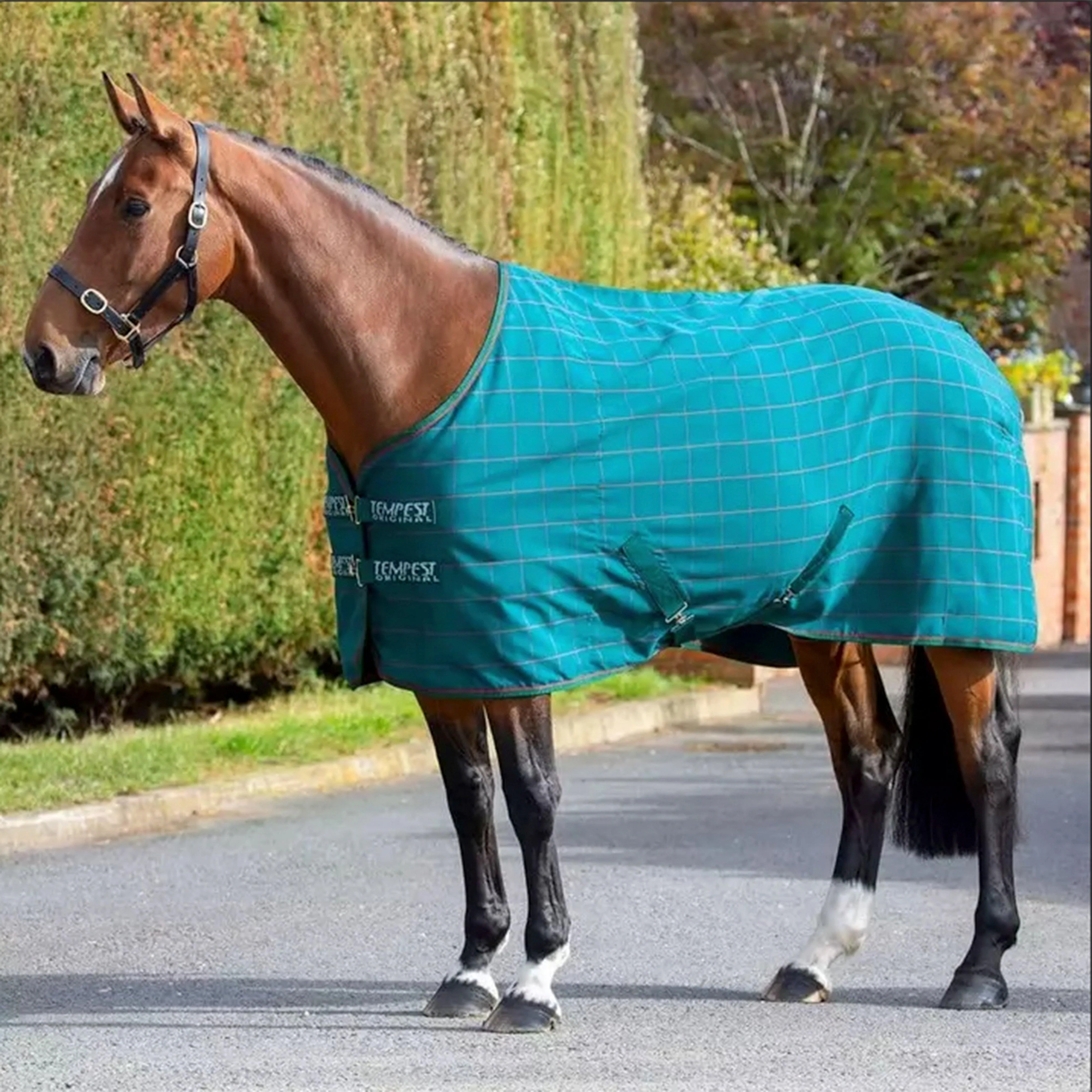 Tempest Original Stable Sheet Green - Image 2