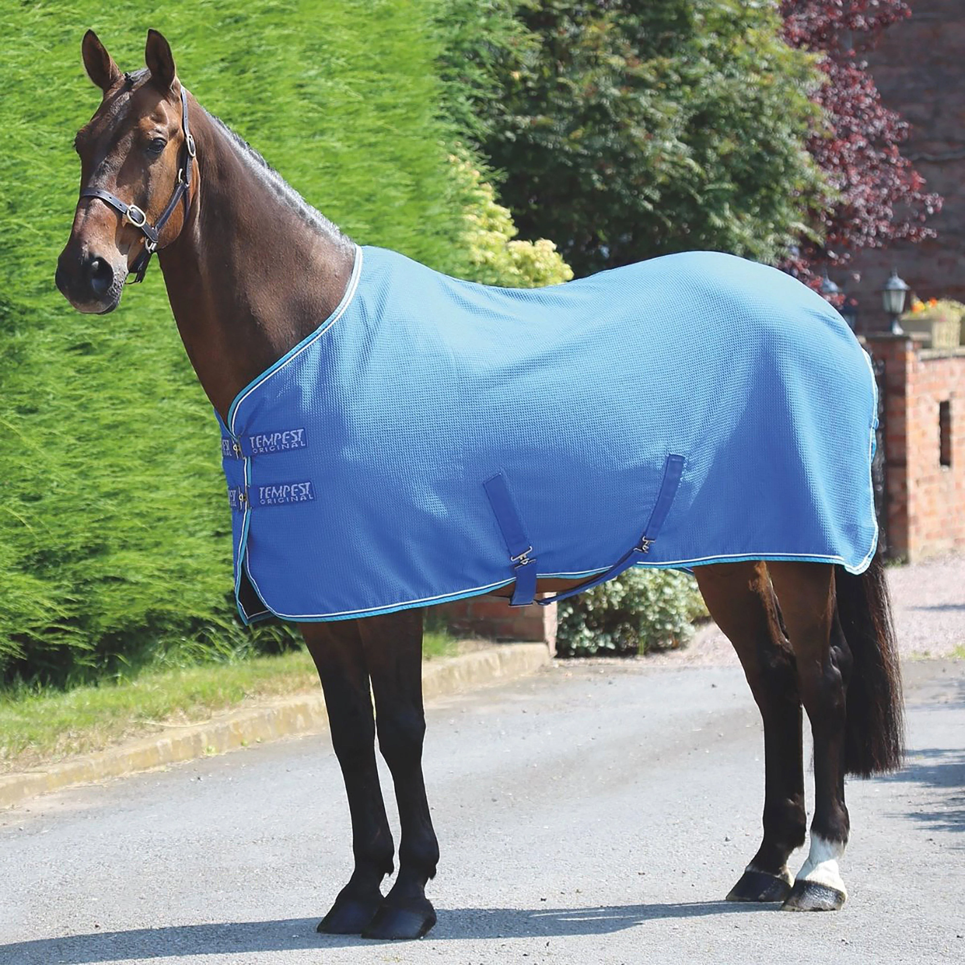 Tempest Original Waffle Rug Royal - Image 2
