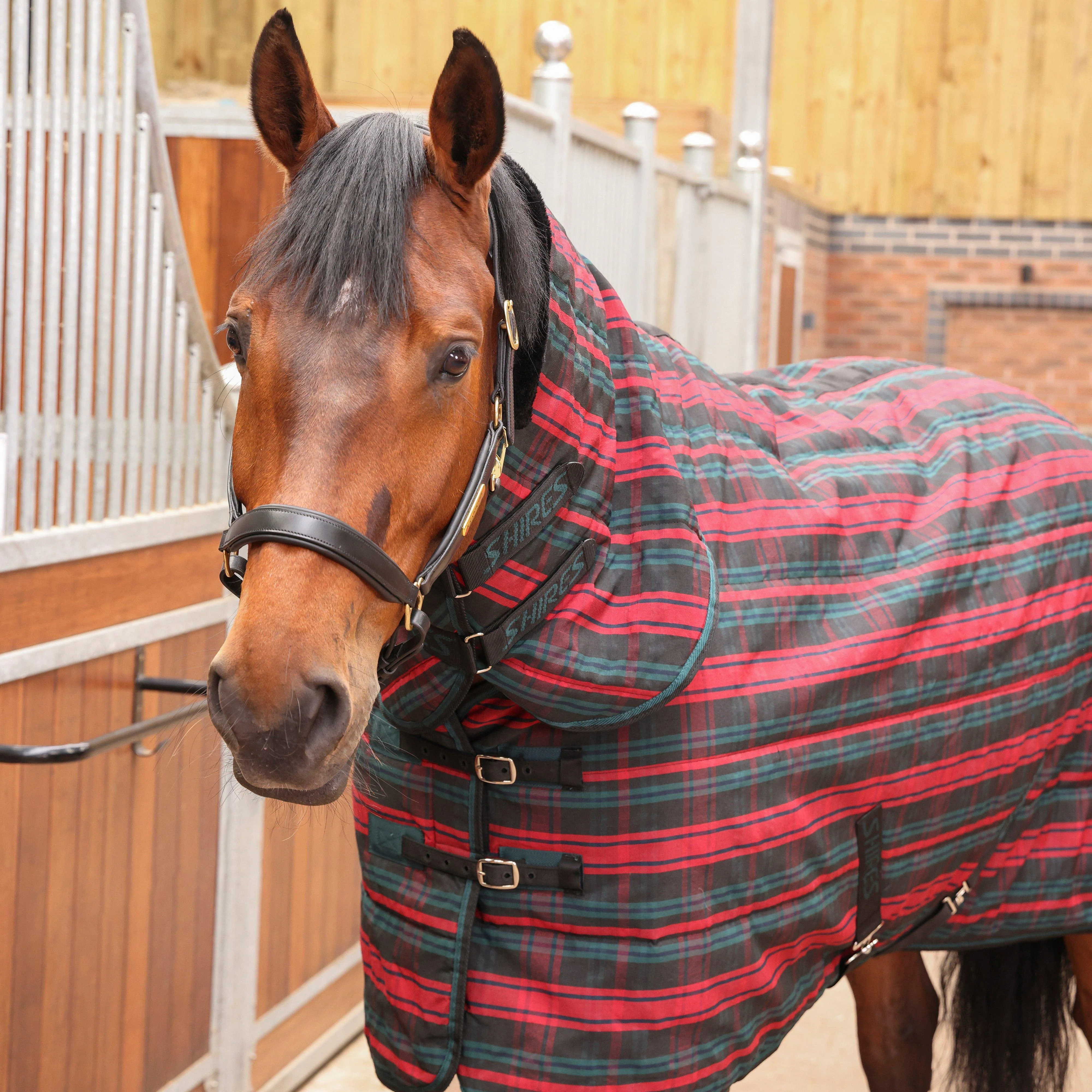 Tempest Plus 200 Stable Combo Rug Red Tartan - Image 3
