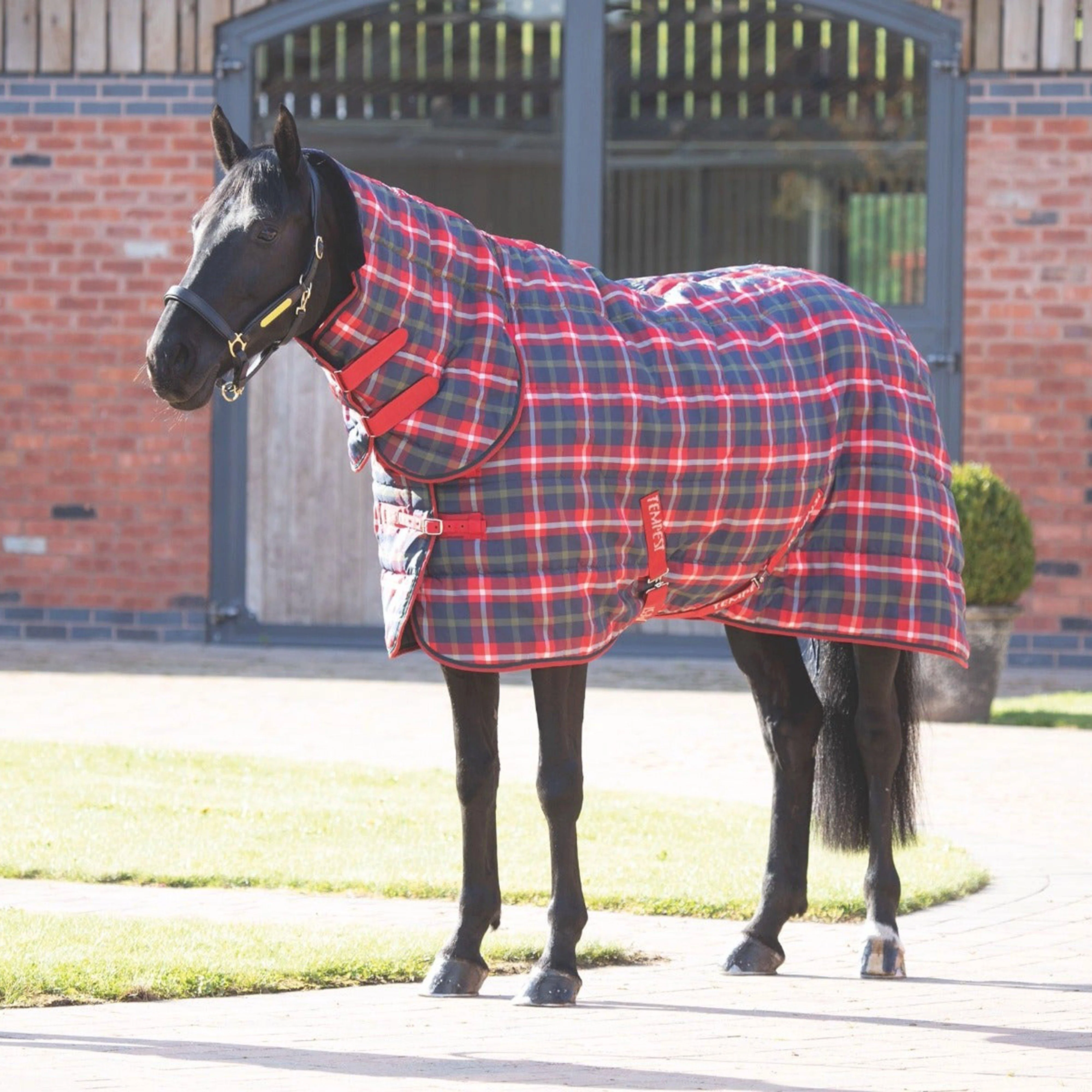 Tempest Plus 200g Medium Weight Combo Neck Stable Rug Red Check - Image 2