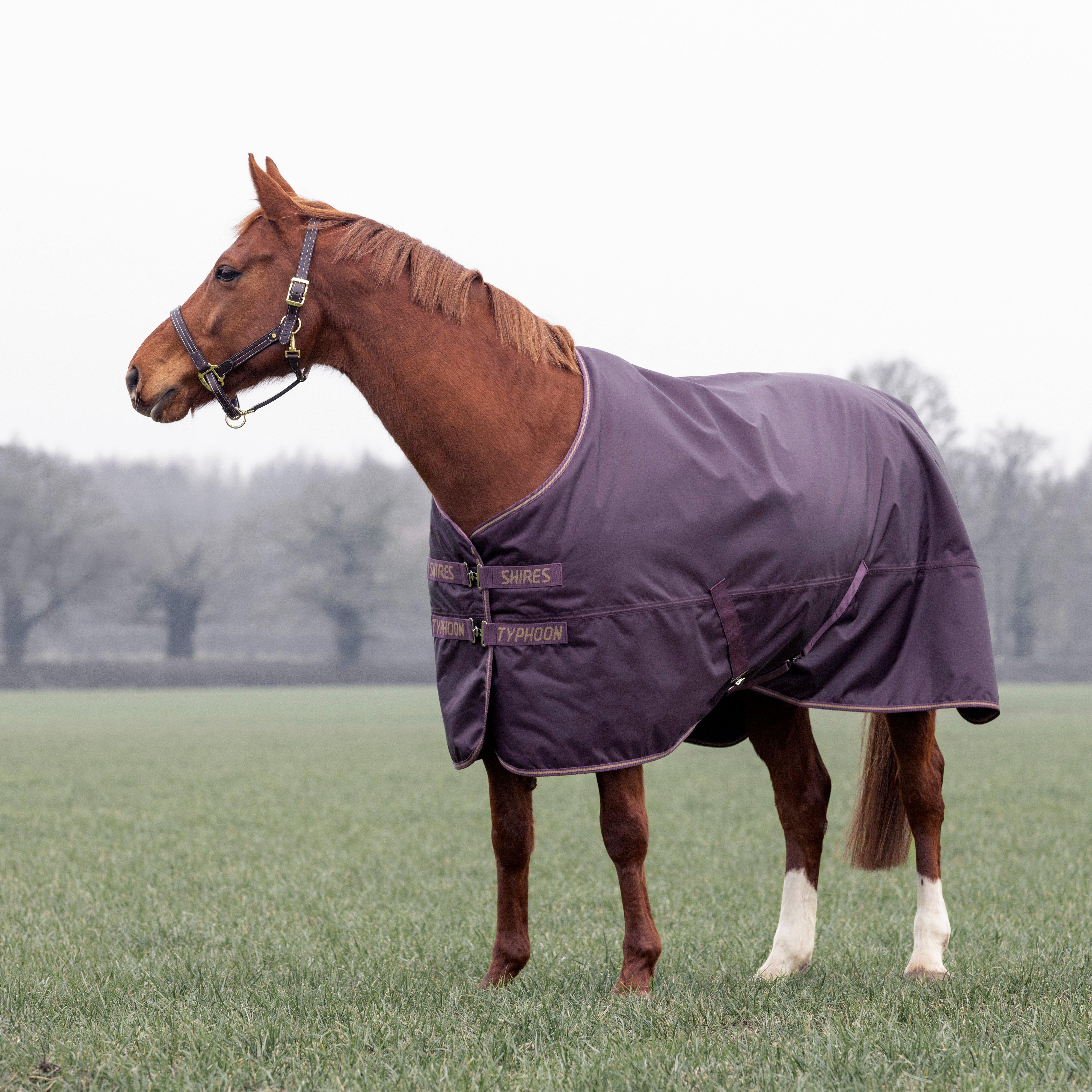 Typhoon 100g Standard Neck Turnout Rug Black Cherry - Image 2