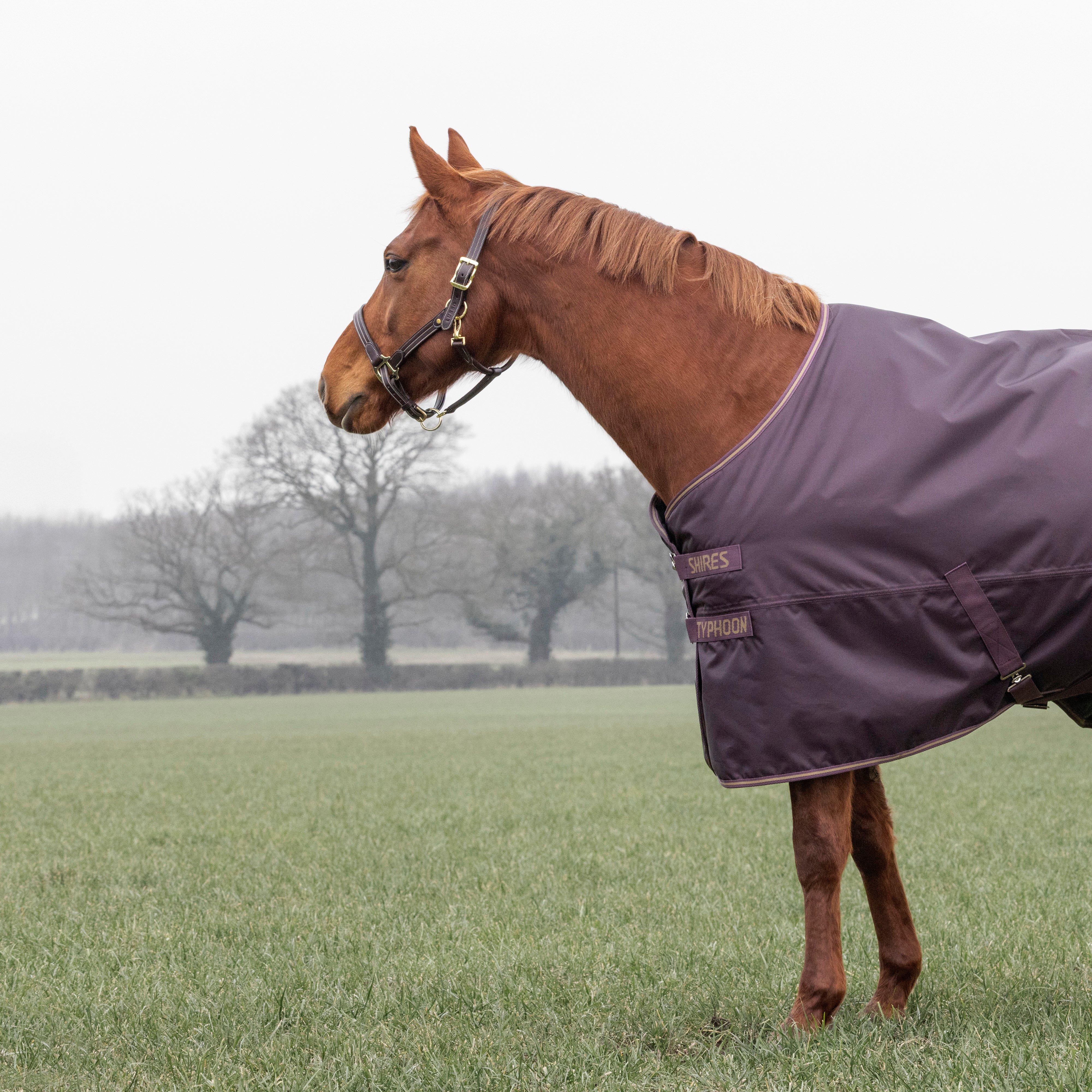 Typhoon 100g Standard Neck Turnout Rug Black Cherry - Image 3