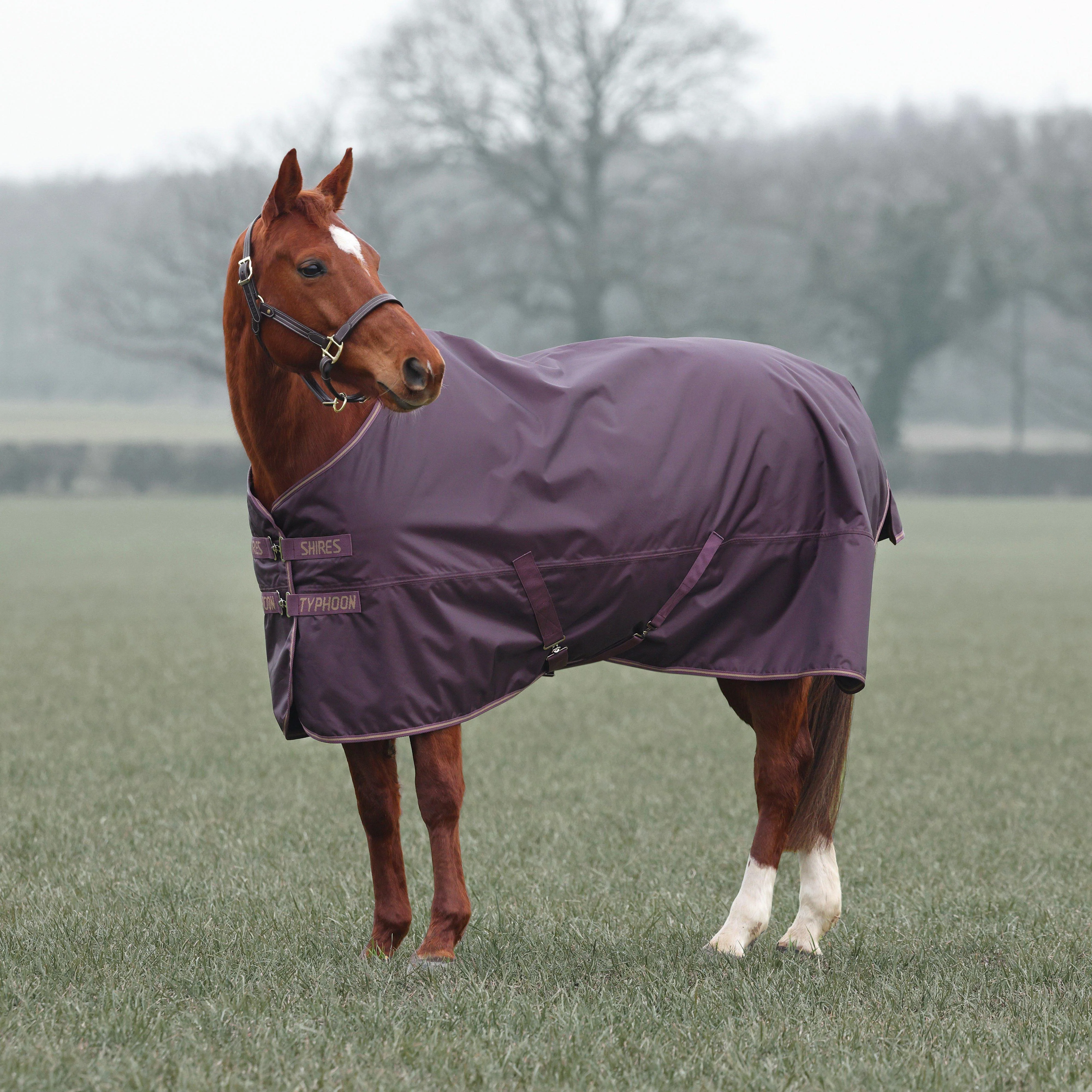 Typhoon 100g Standard Neck Turnout Rug Black Cherry - Image 6