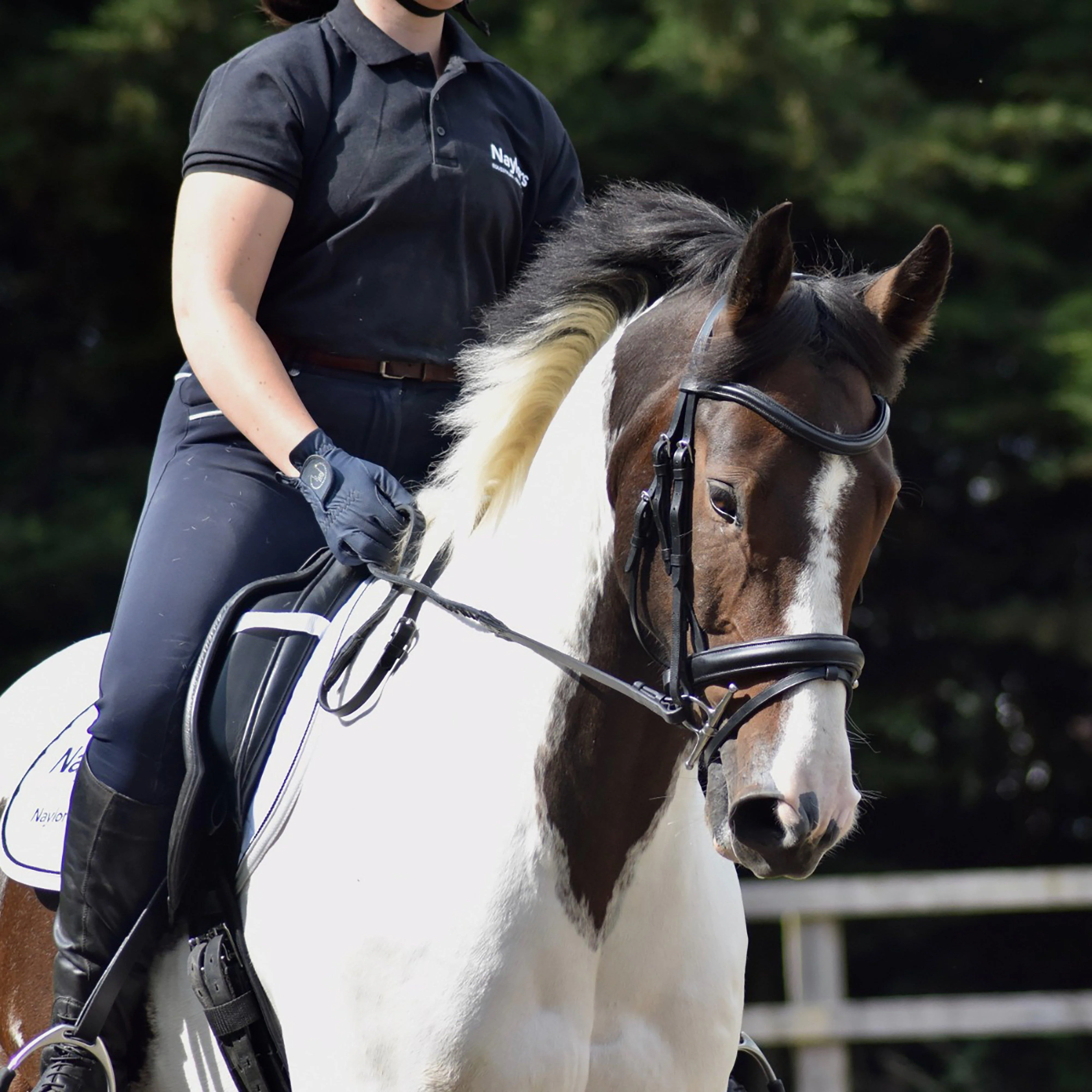 Dressage Flash Bridle Black - Image 6