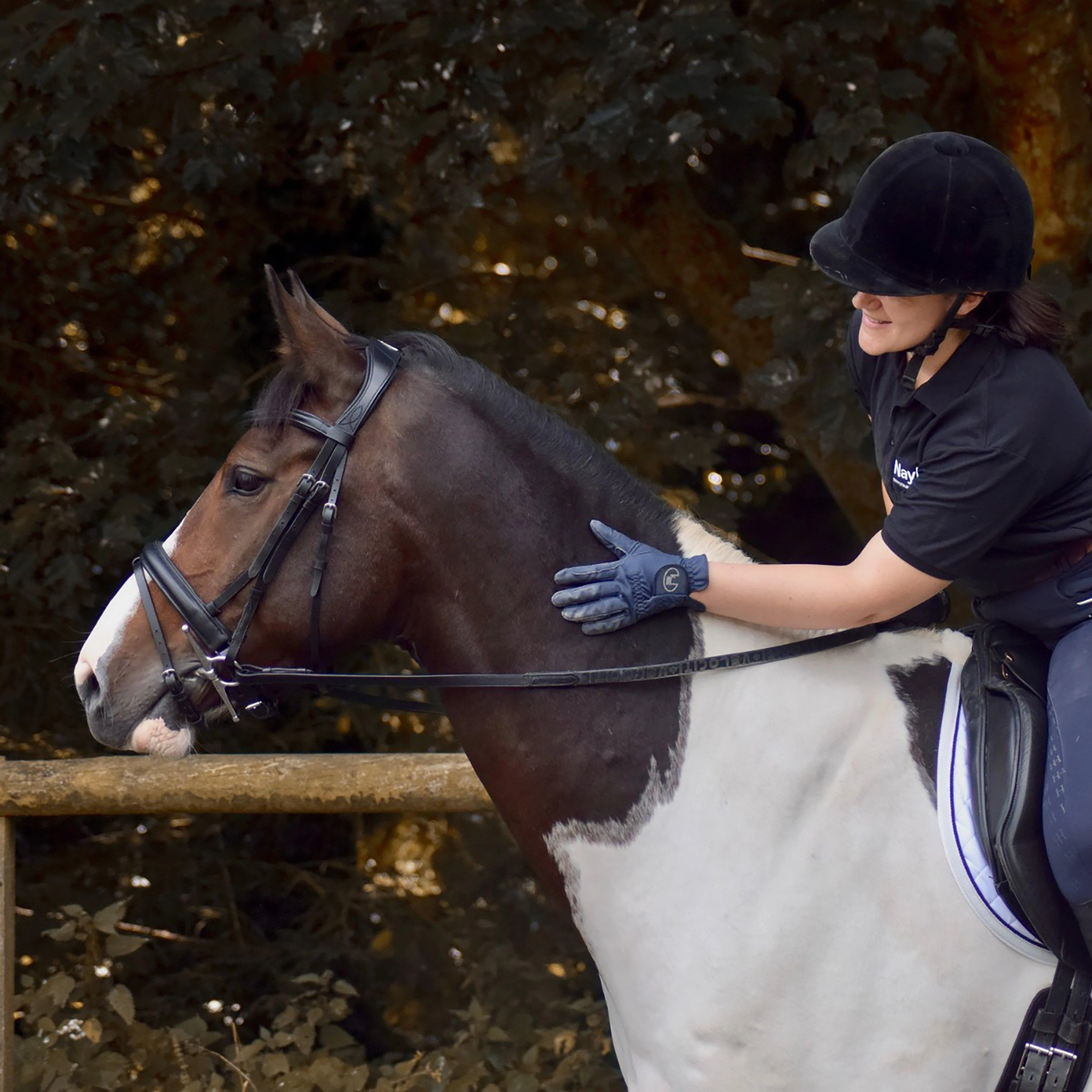 Dressage Flash Bridle Black - Image 7