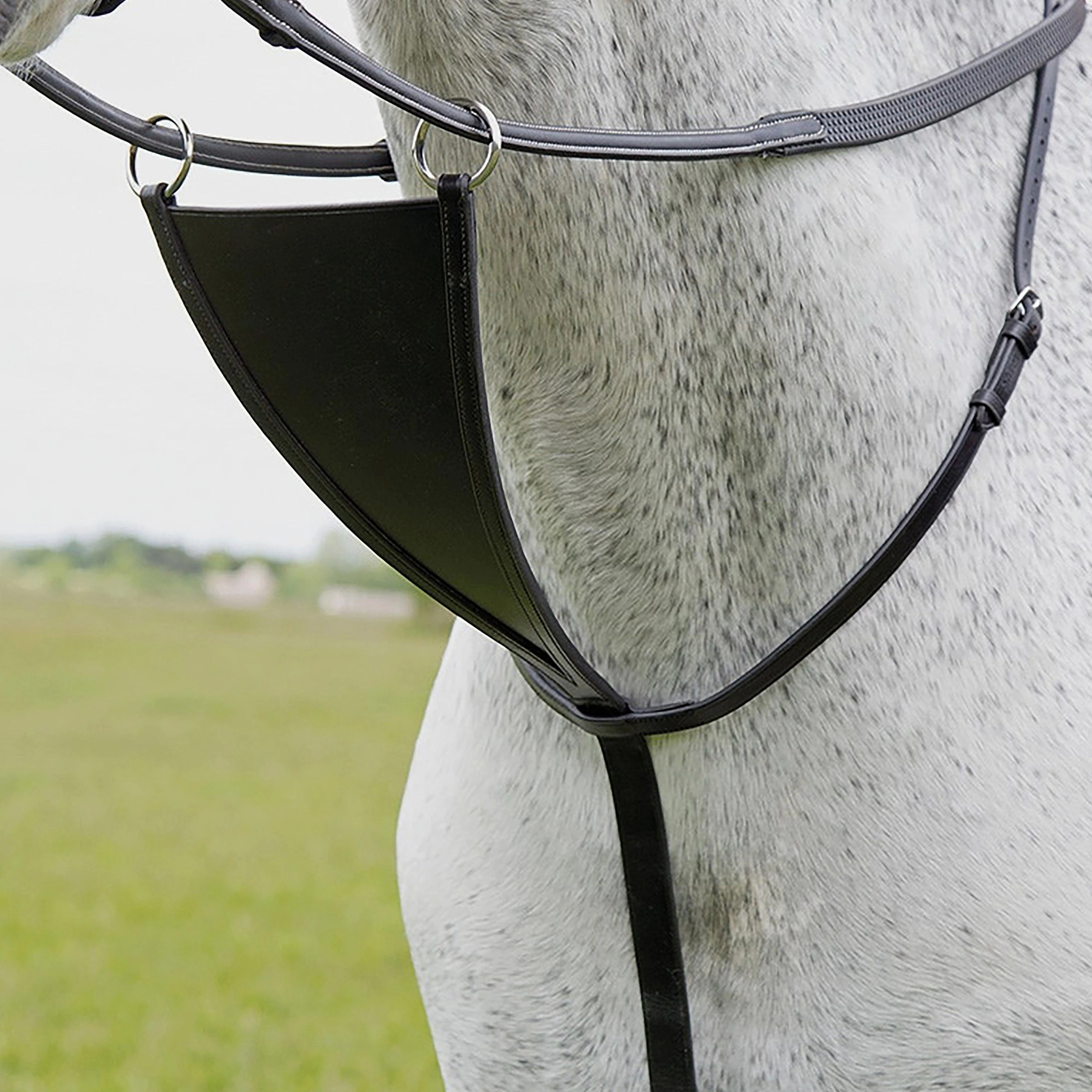 GARA Bib Martingale Havana