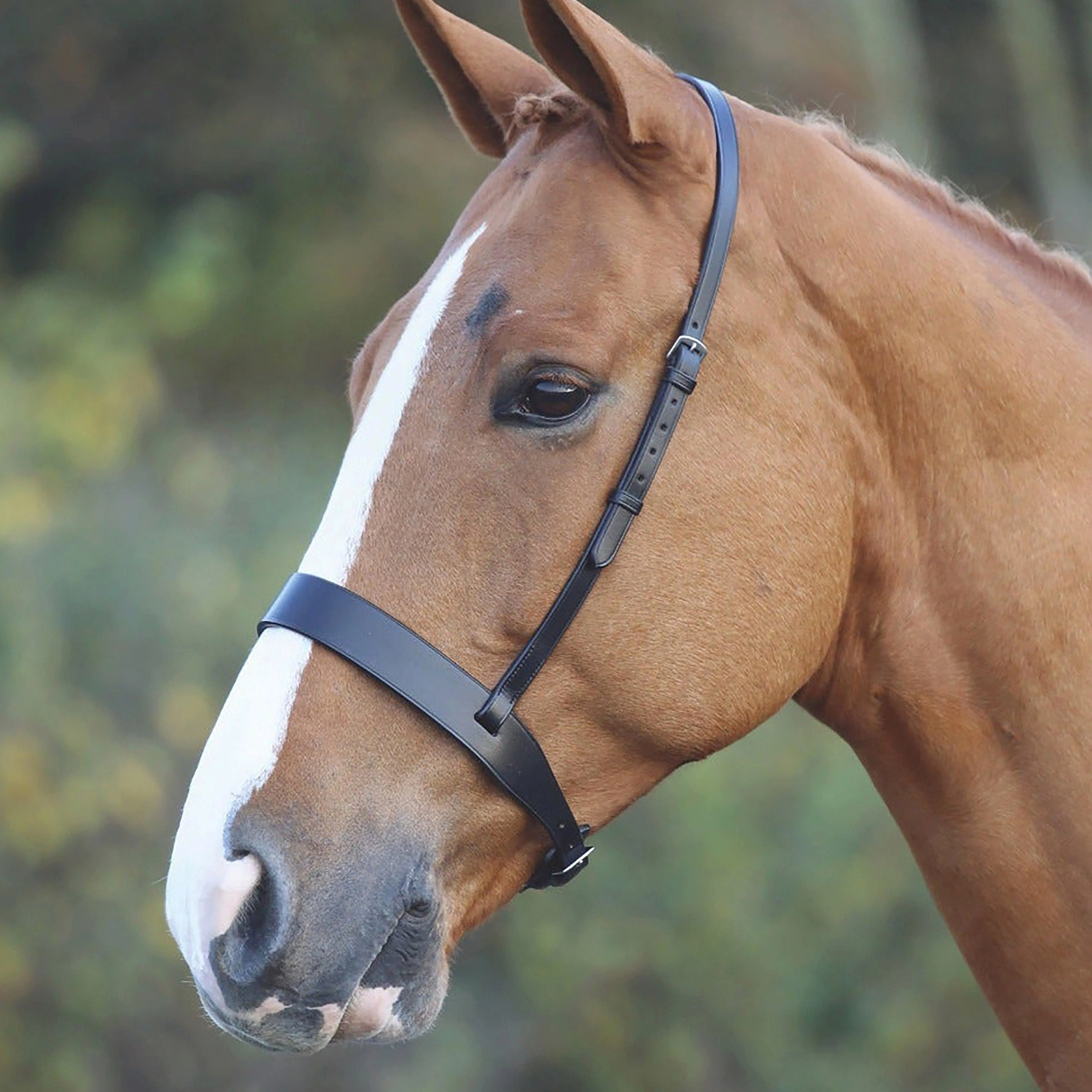 GARA Cavesson Hunt Noseband Black - Image 2