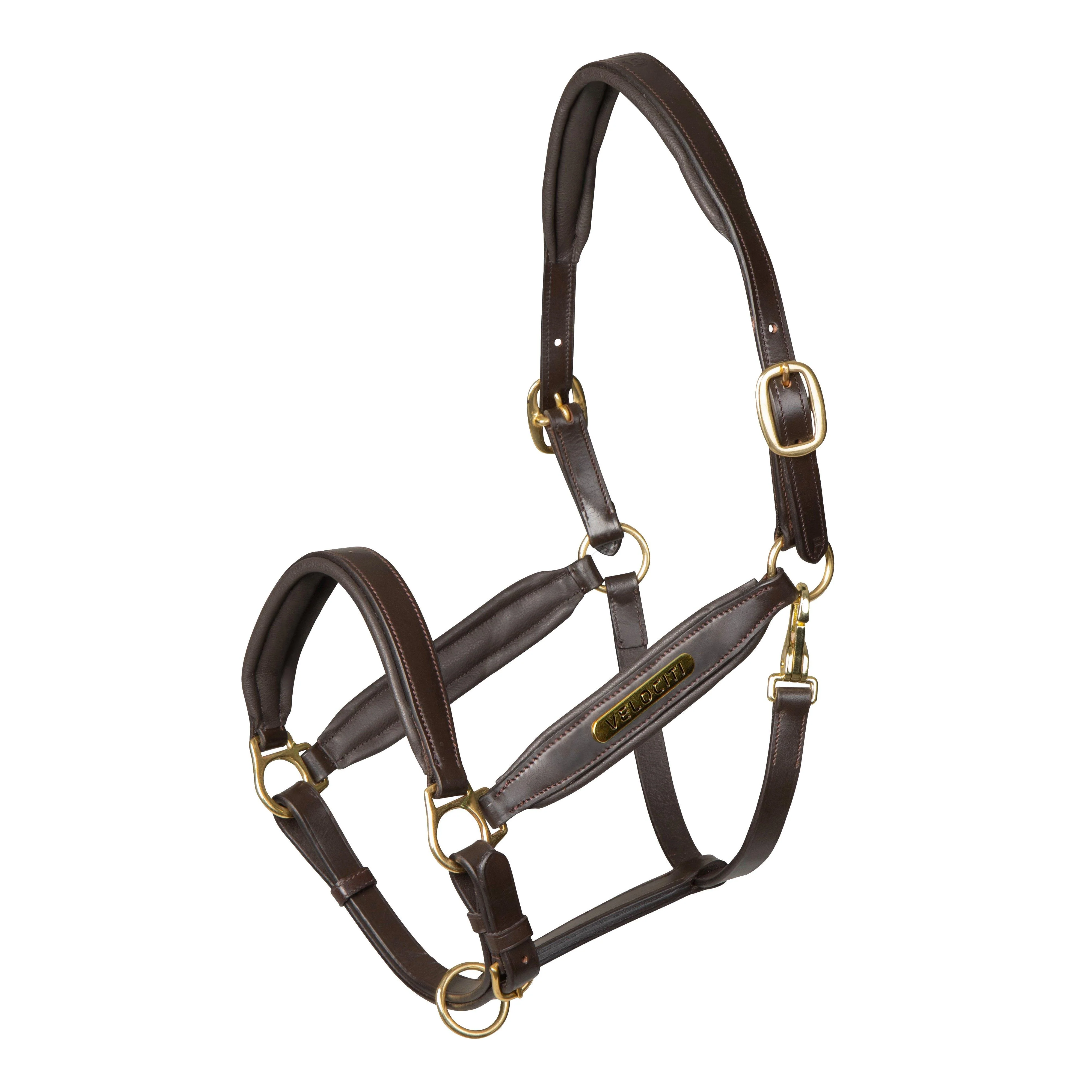 GARA Leather Headcollar Havana. - Image 2