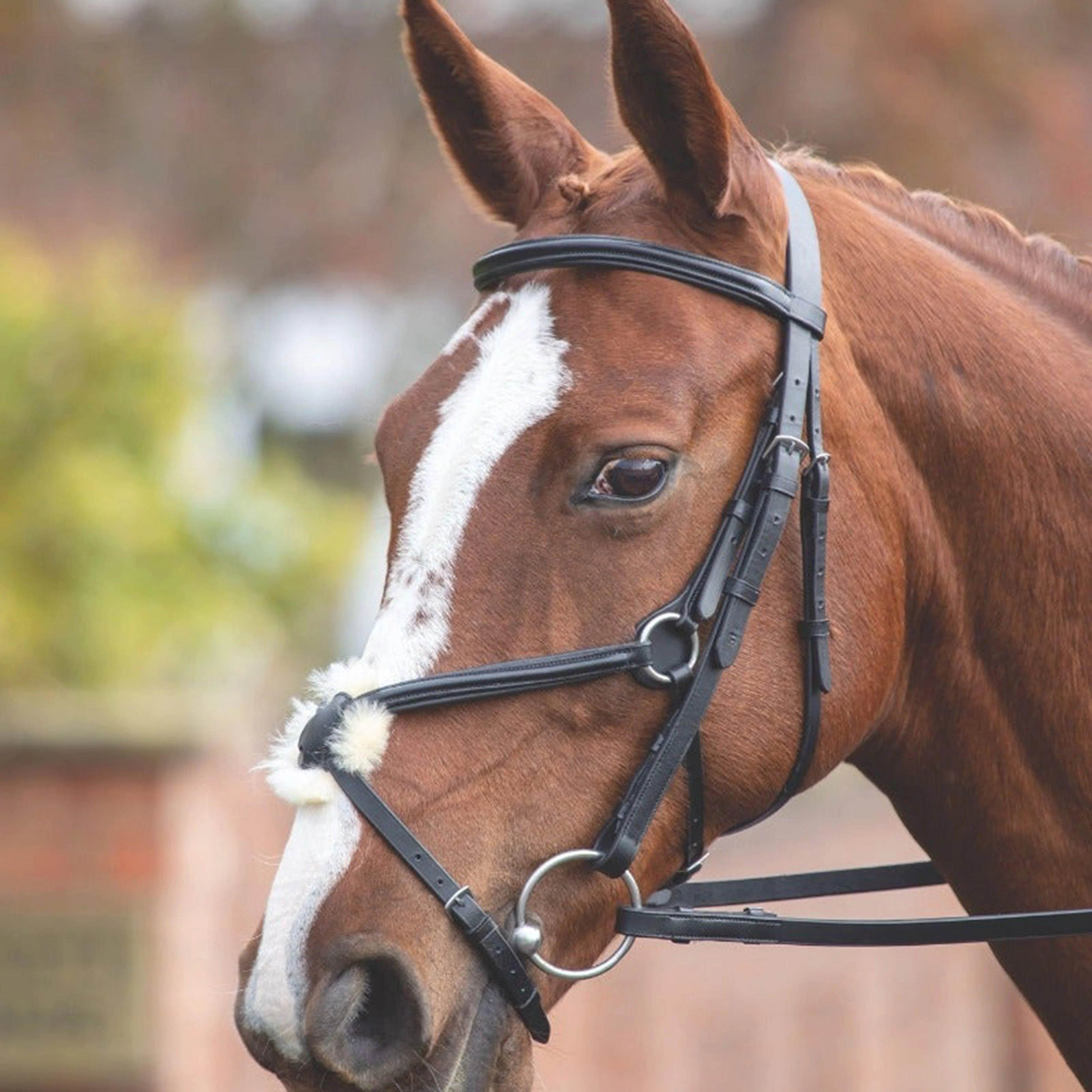 GARA Mexican Bridle Black - Image 2