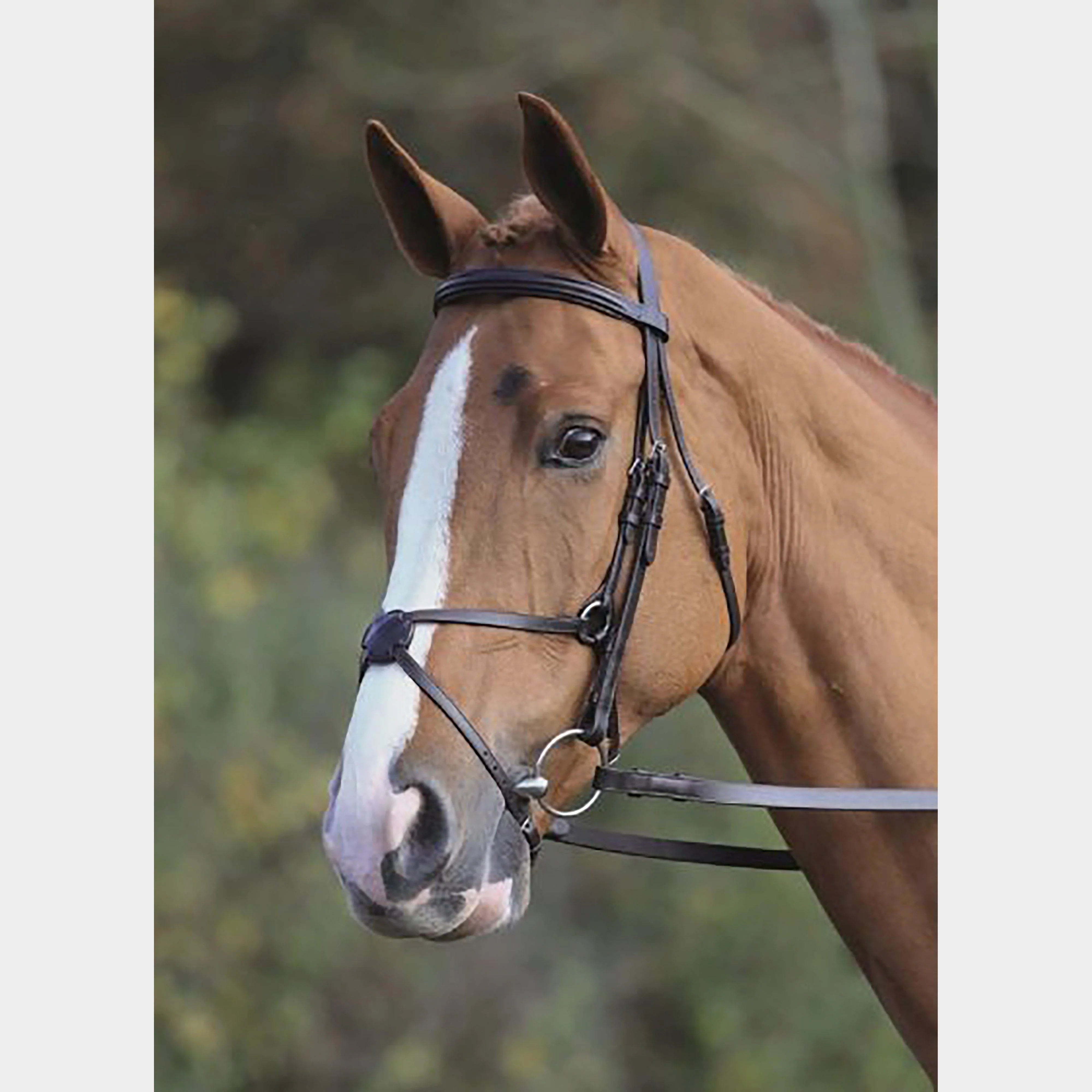 GARA Mexican Bridle Havana
