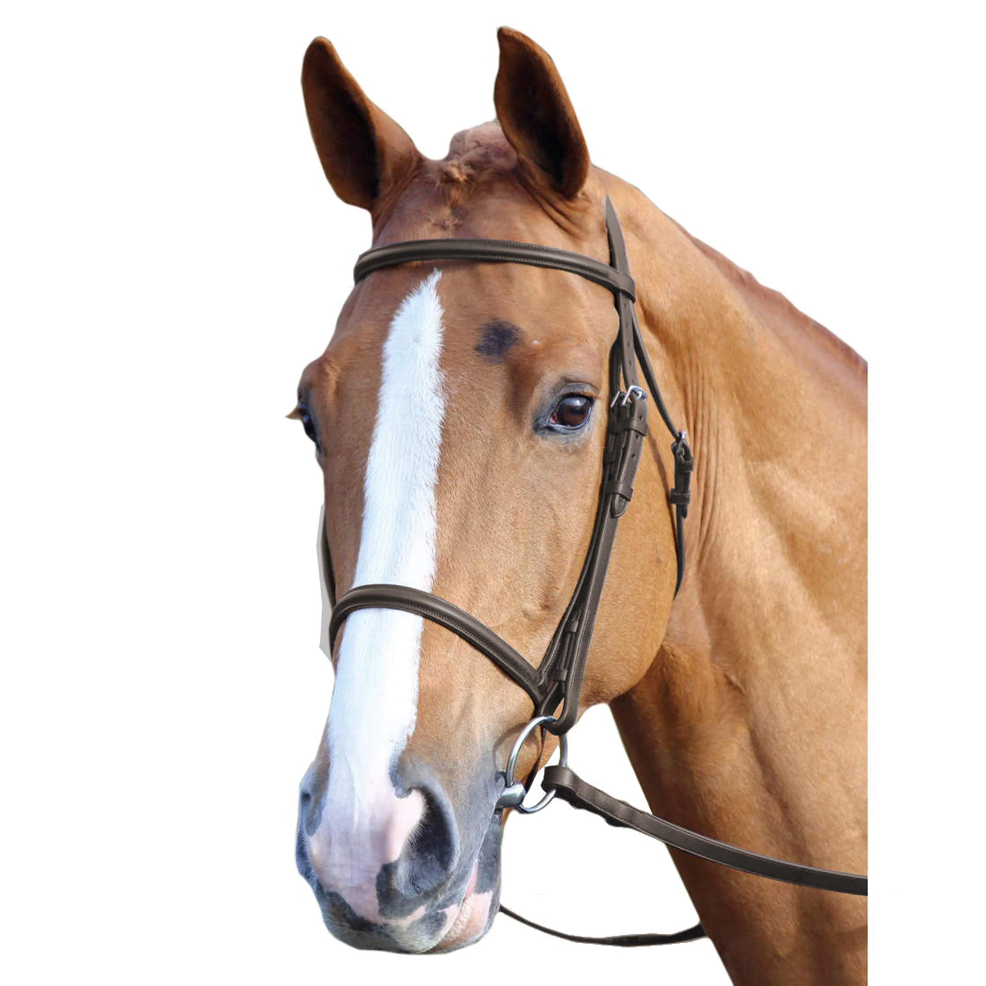 GARA Raised Cavesson Bridle Havana - Image 2