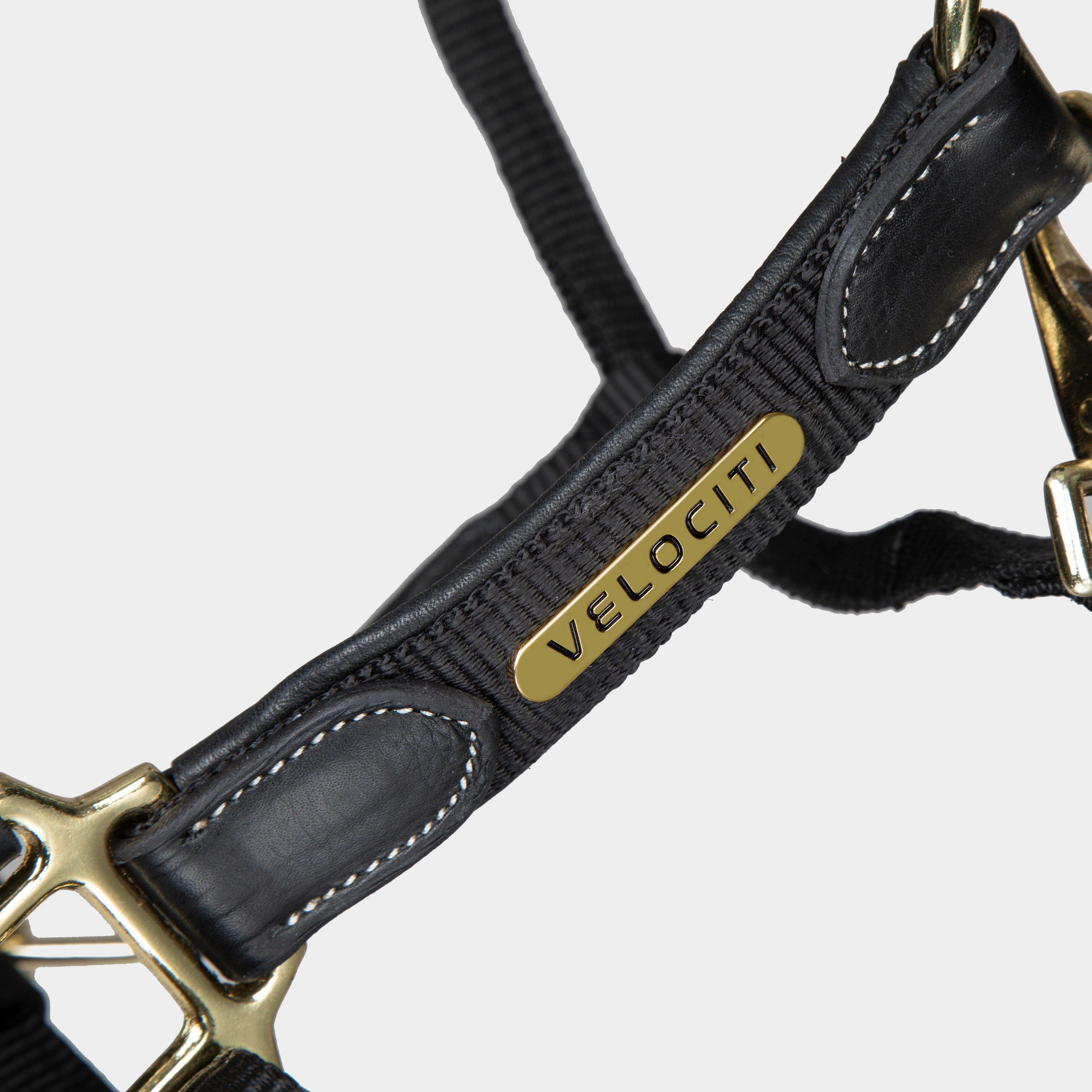 Lusso Padded Leather Headcollar Black - Image 2