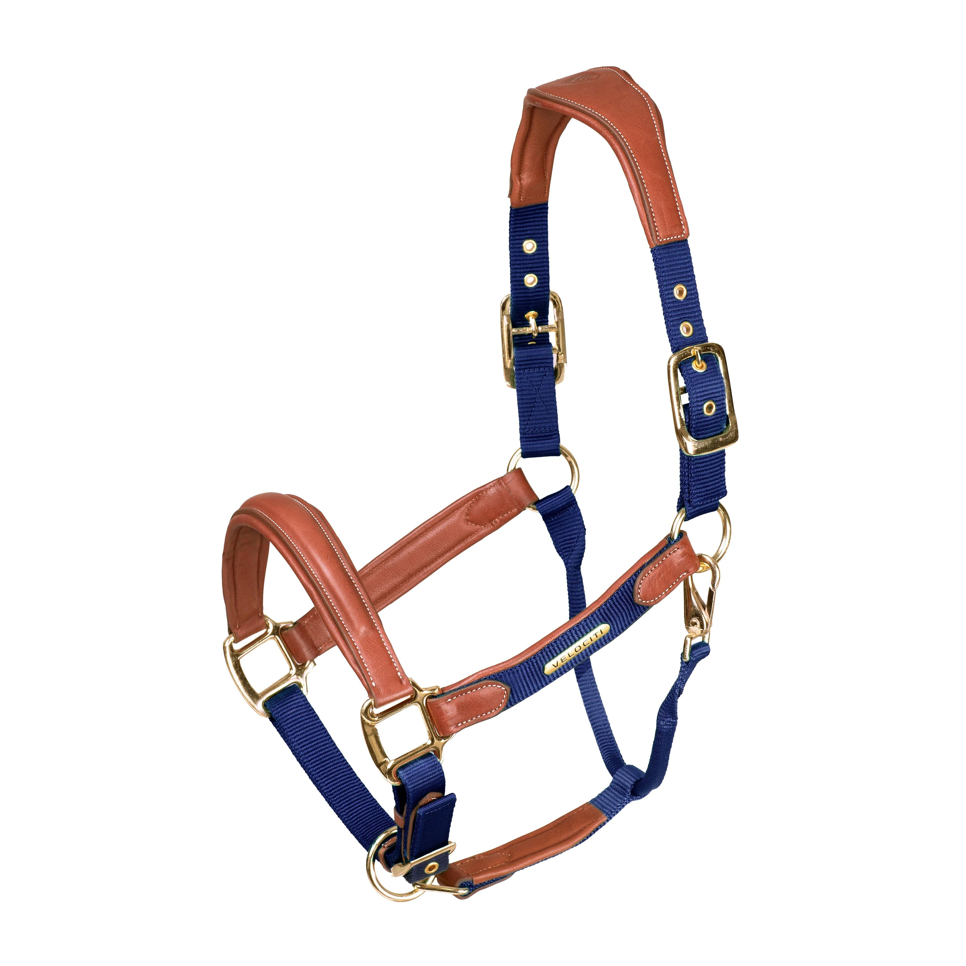Lusso Padded Leather Headcollar Navy - Image 5
