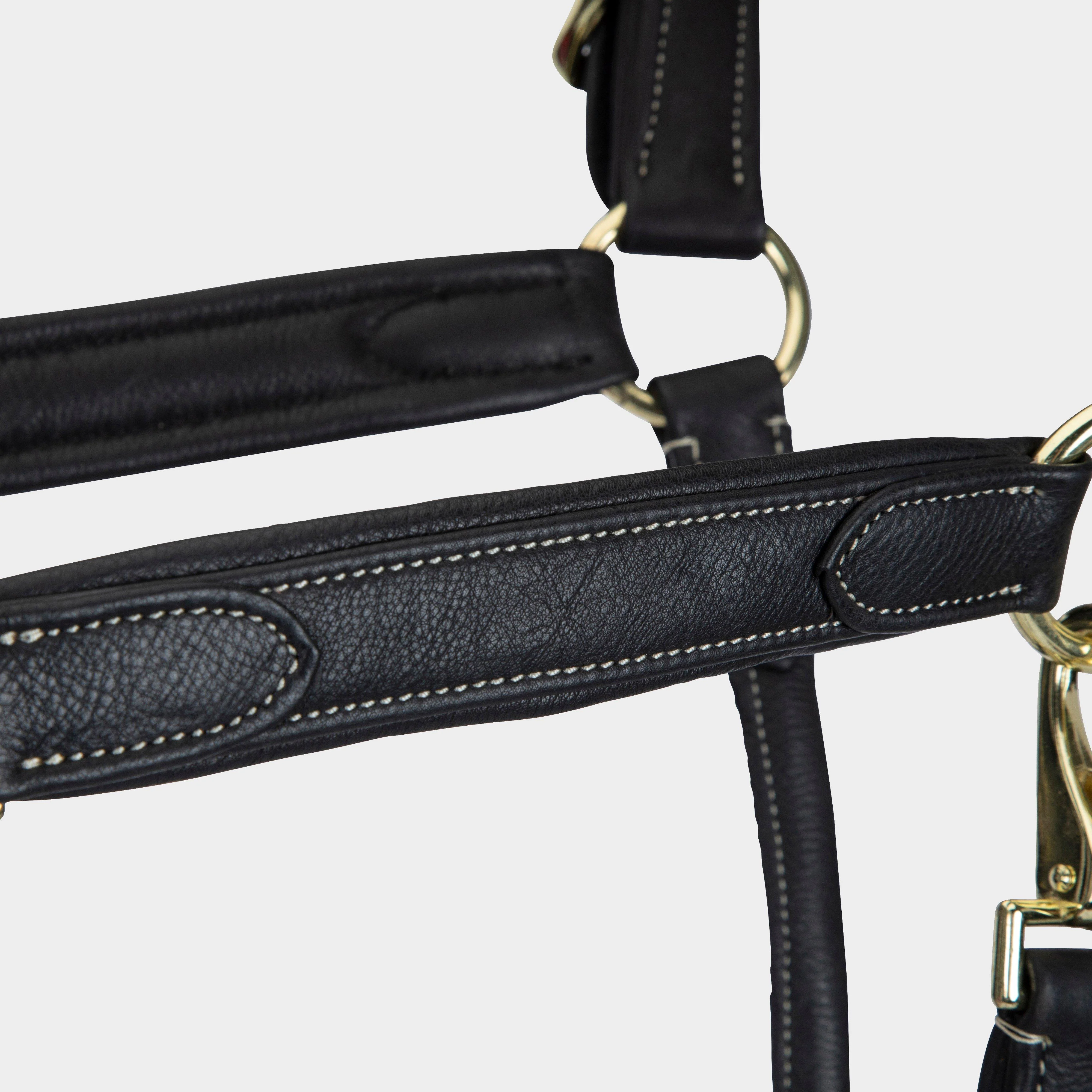 RAPIDA Comfort Leather Headcollar Black - Image 6