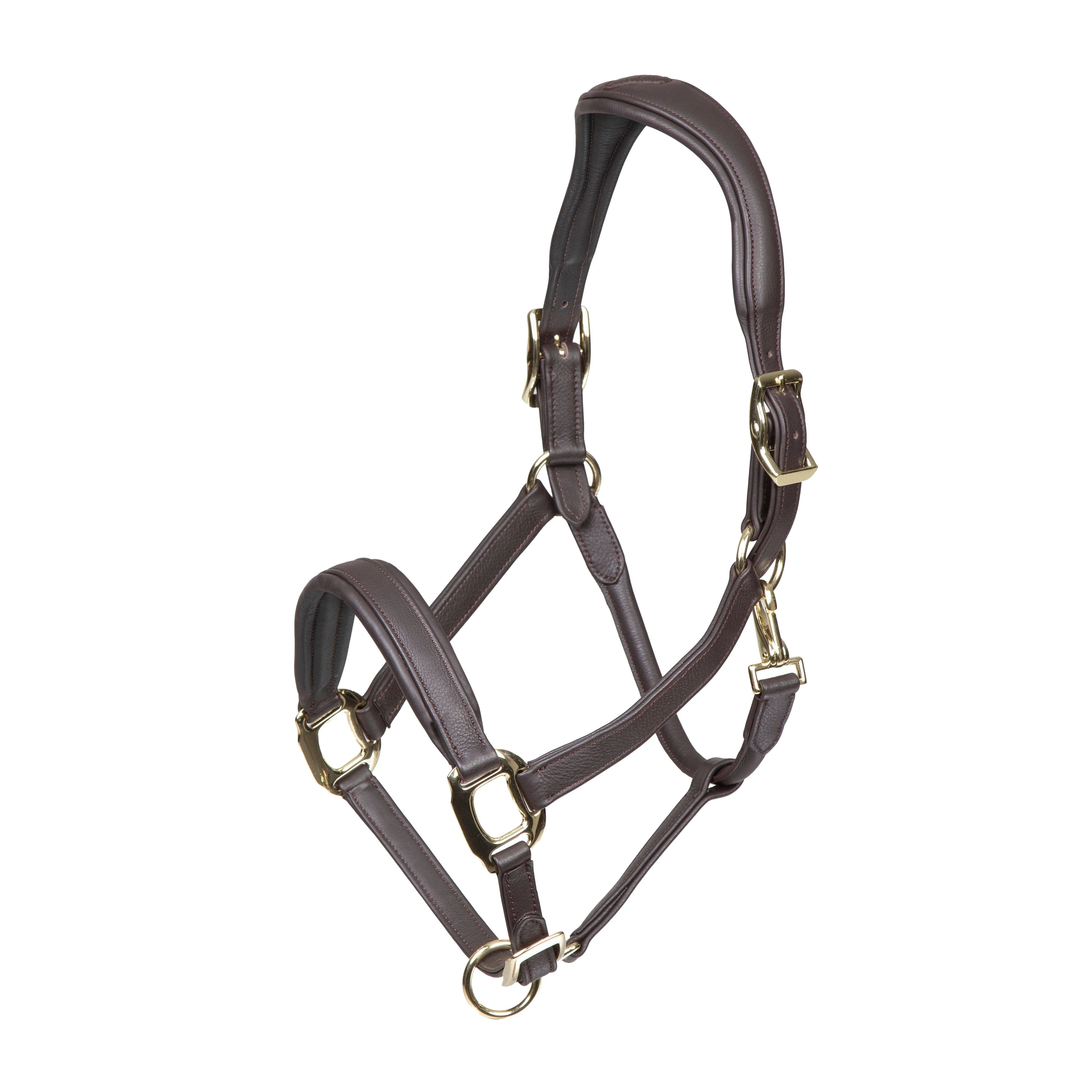 RAPIDA Comfort Leather Headcollar Havana - Image 6