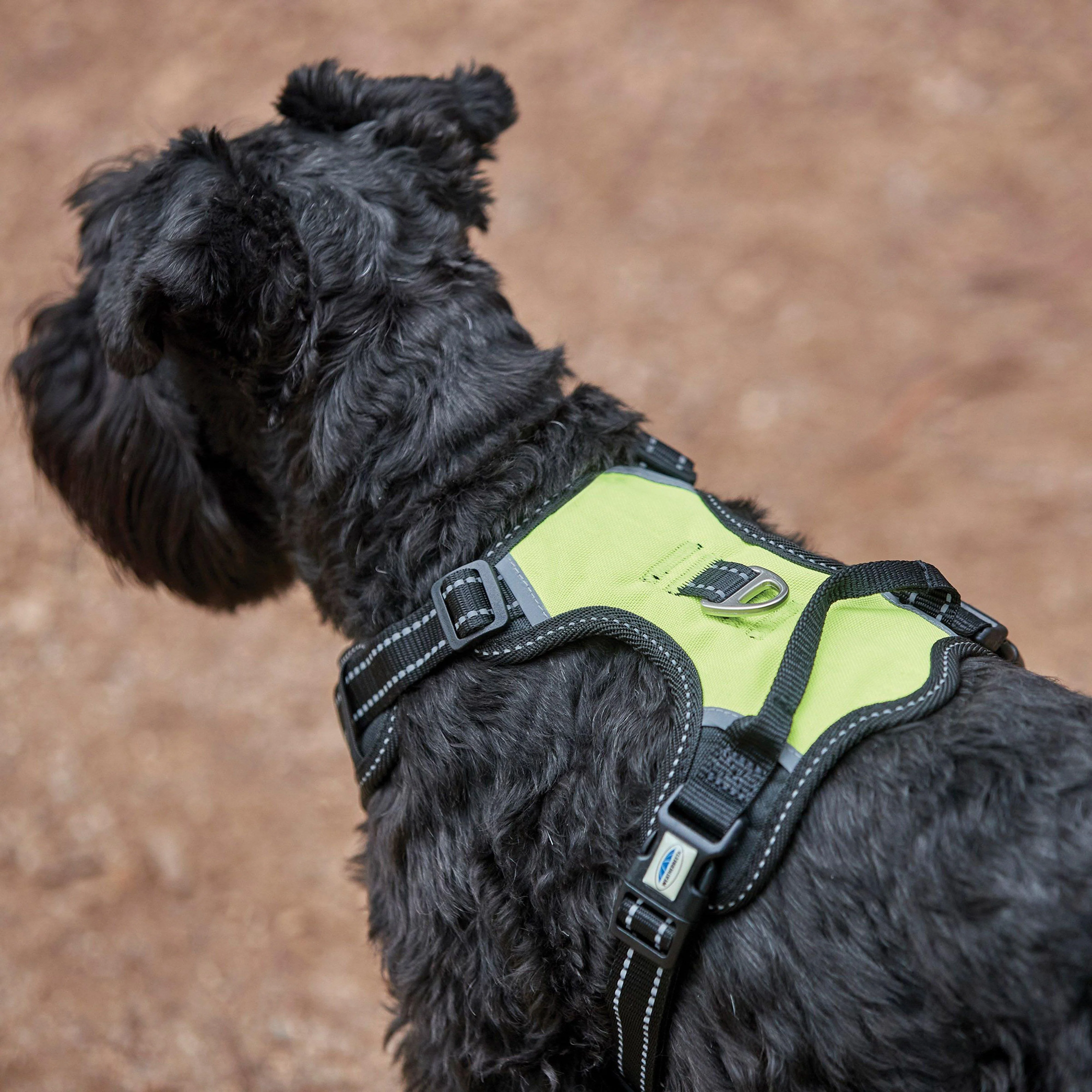 Antipull/Travel Harness Yellow Reflective - Image 4
