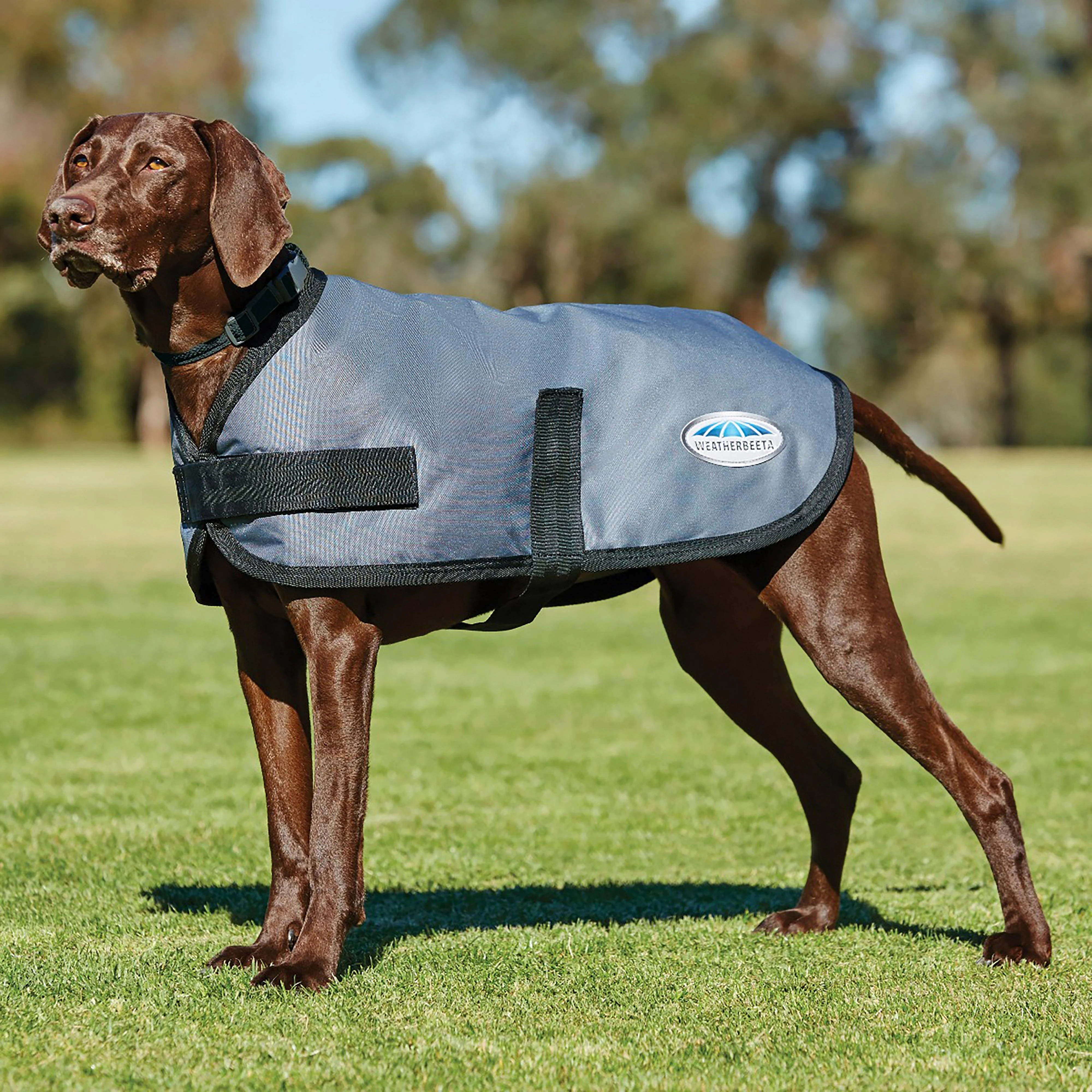 ComFiTec Classic 100g Lightweight Dog Coat Dark Grey - Image 2