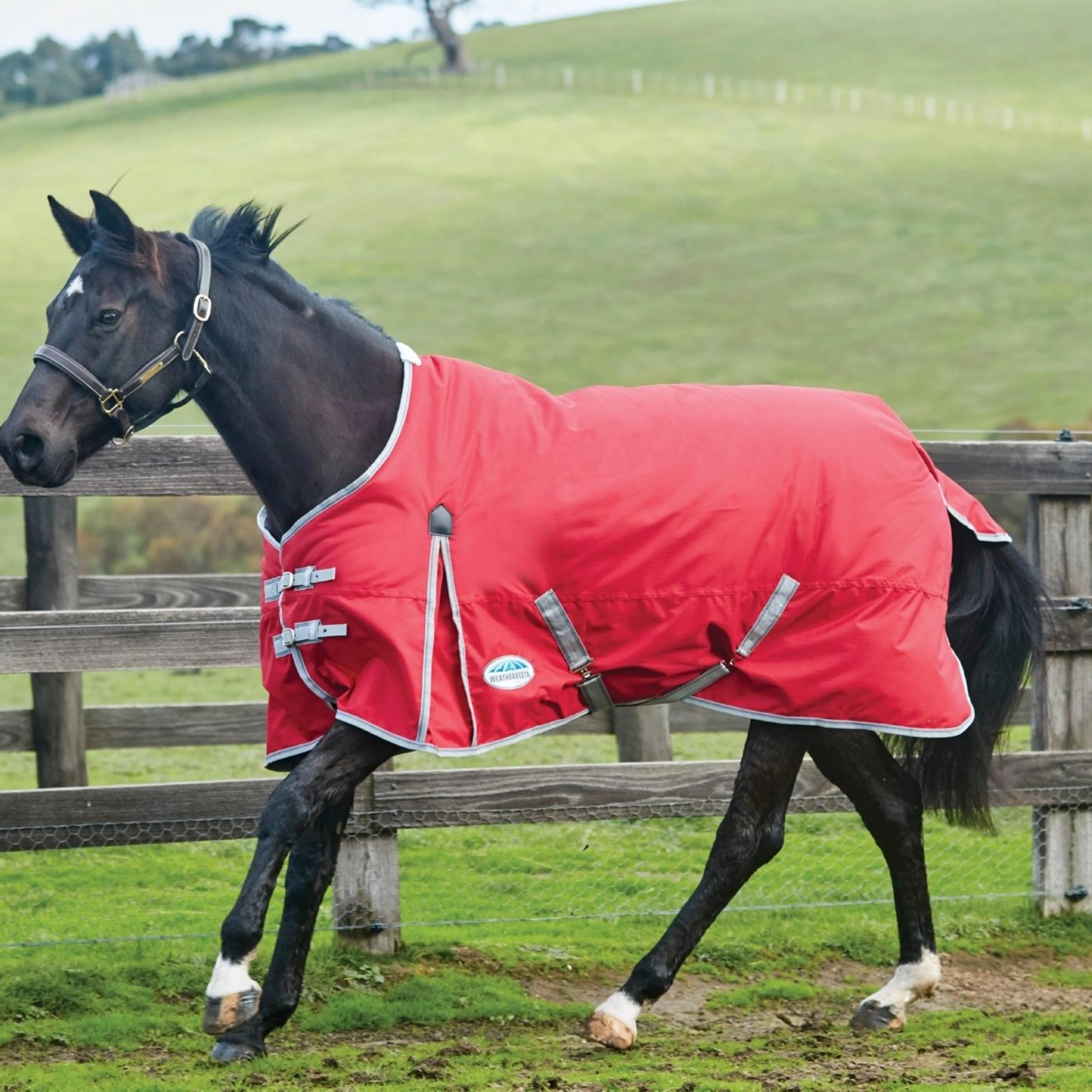 ComFiTec Classic 220g Medium Weight Standard Neck Turnout Rug Red/Silver - Image 10