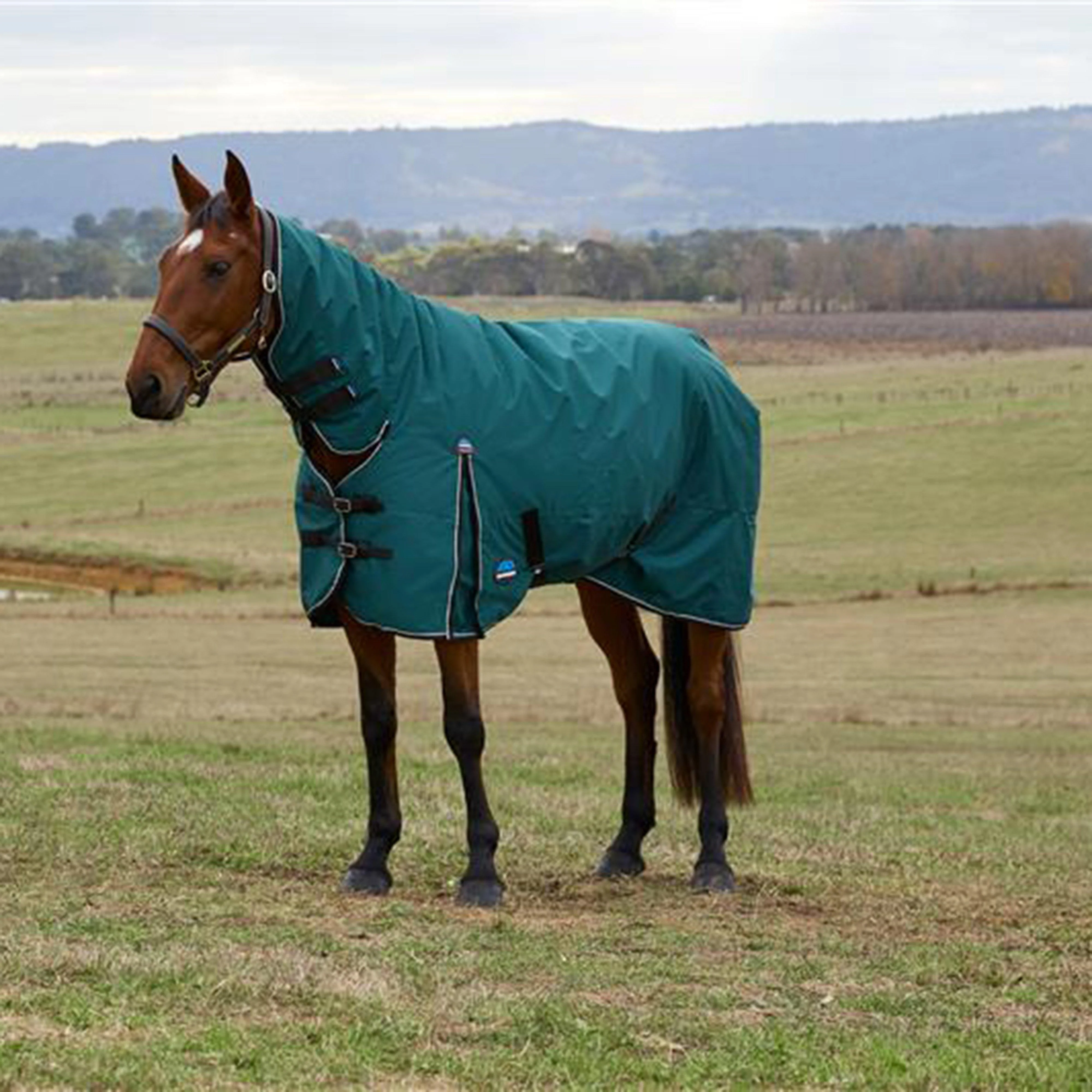 ComFiTec Classic Combo Neck 220g Mediumweight Turnout Rug Dark Blue/Coffee - Image 7