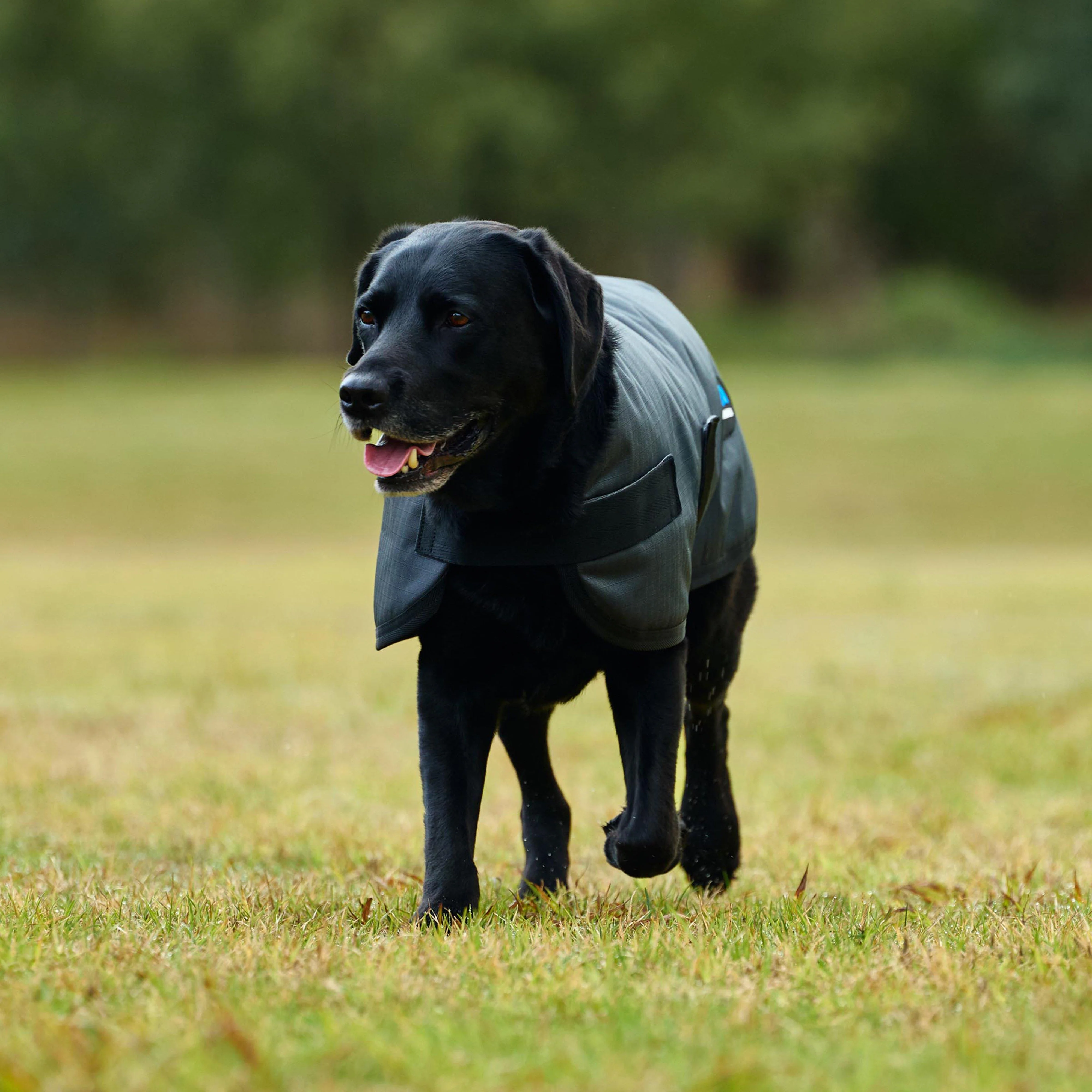 ComFiTec Classic Waterproof Dog Coat Charcoal - Image 2