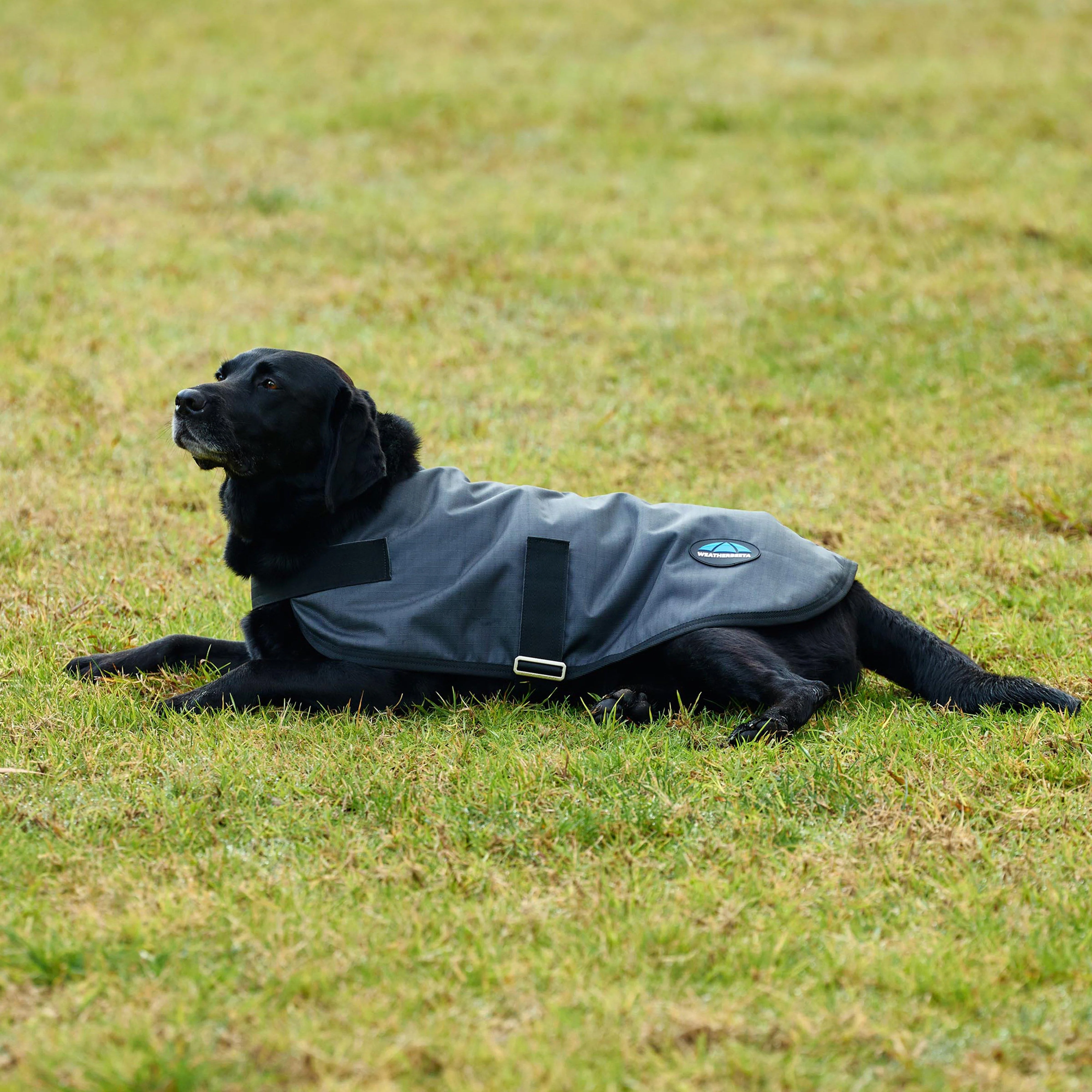 ComFiTec Classic Waterproof Dog Coat Charcoal - Image 6