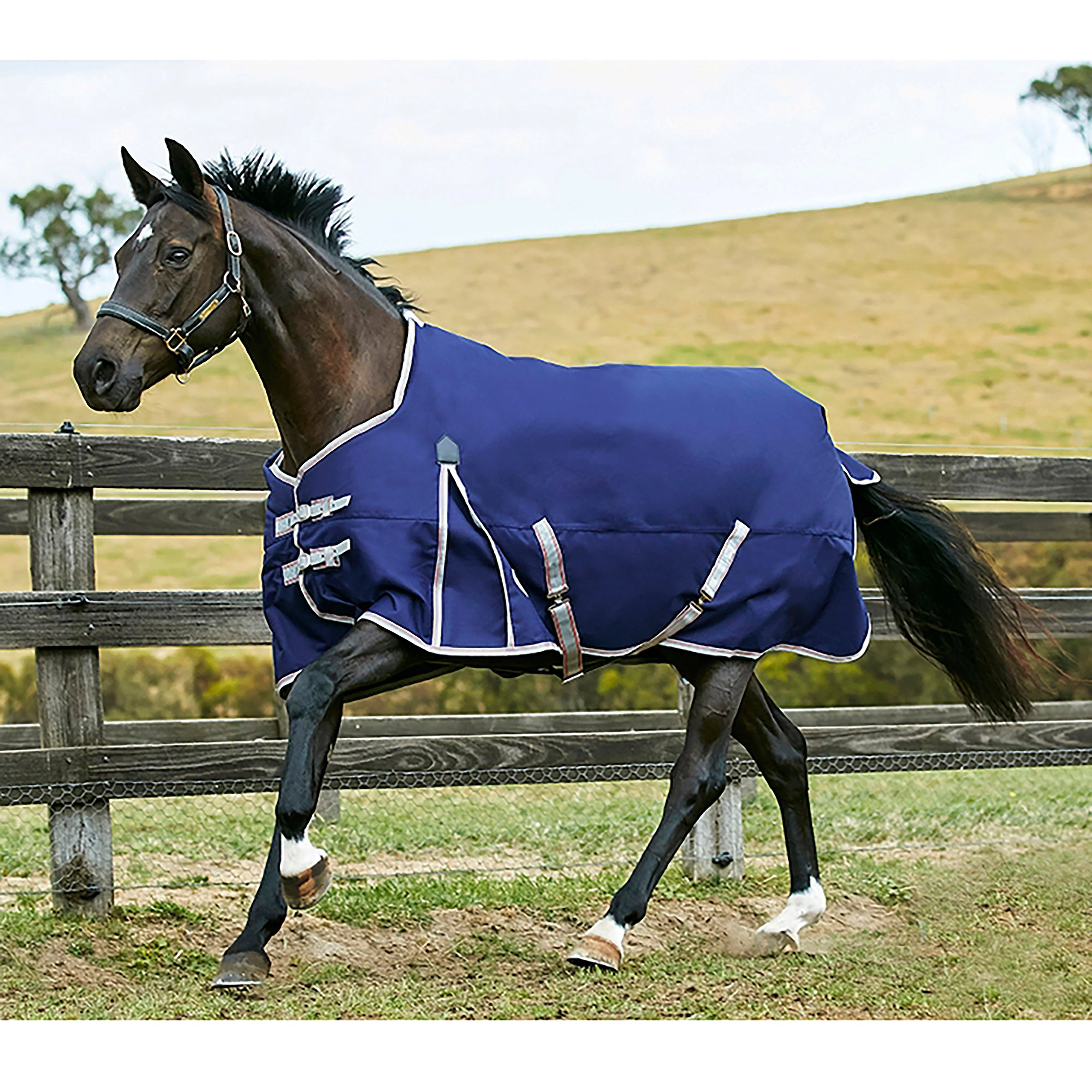 ComFiTec Essential 50g Lightweight Standard Neck Turnout Rug Navy/Silver/Red - Image 10