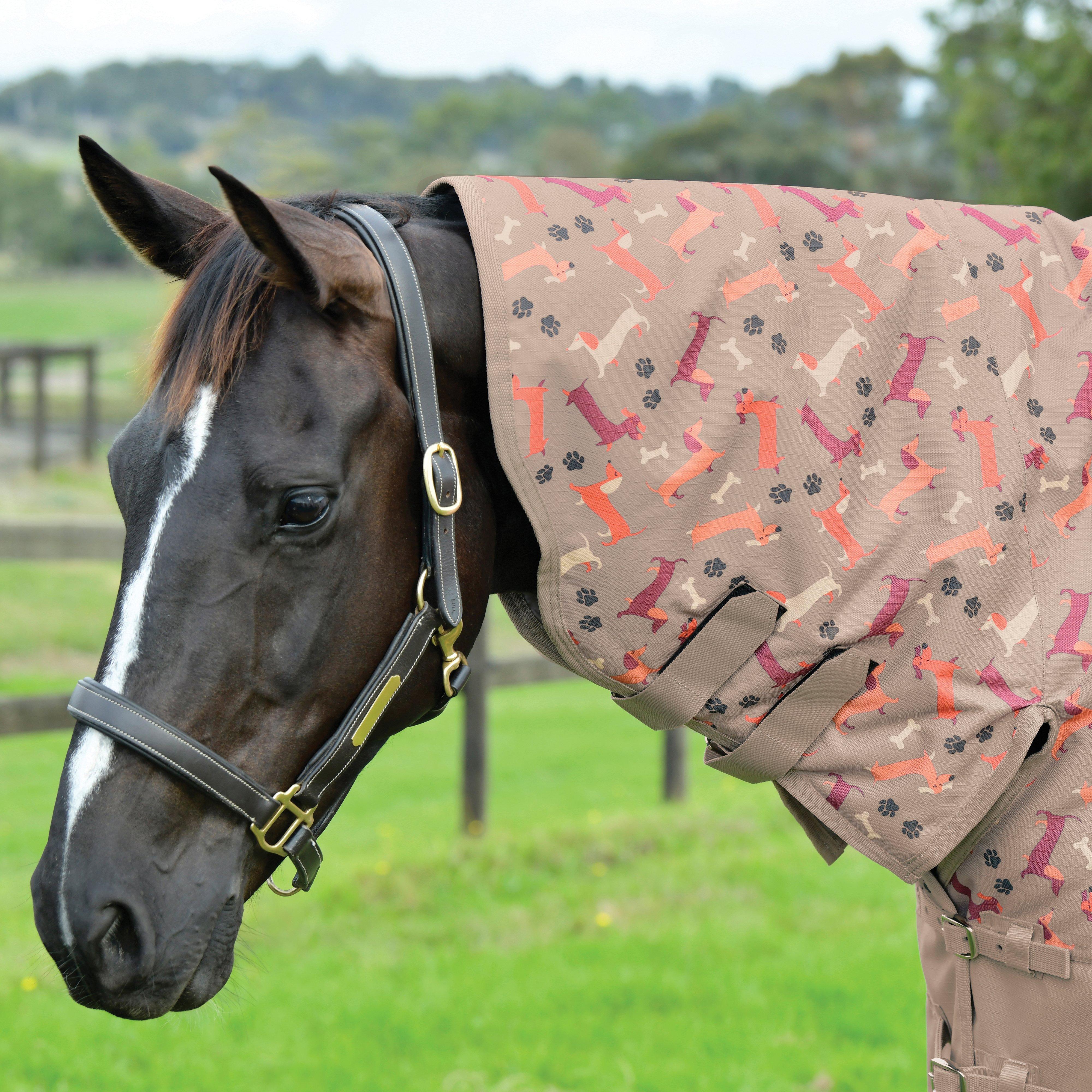 ComFiTec Essential Combo Neck 220g Mediumweight Turnout Rug Dachshund Print - Image 3