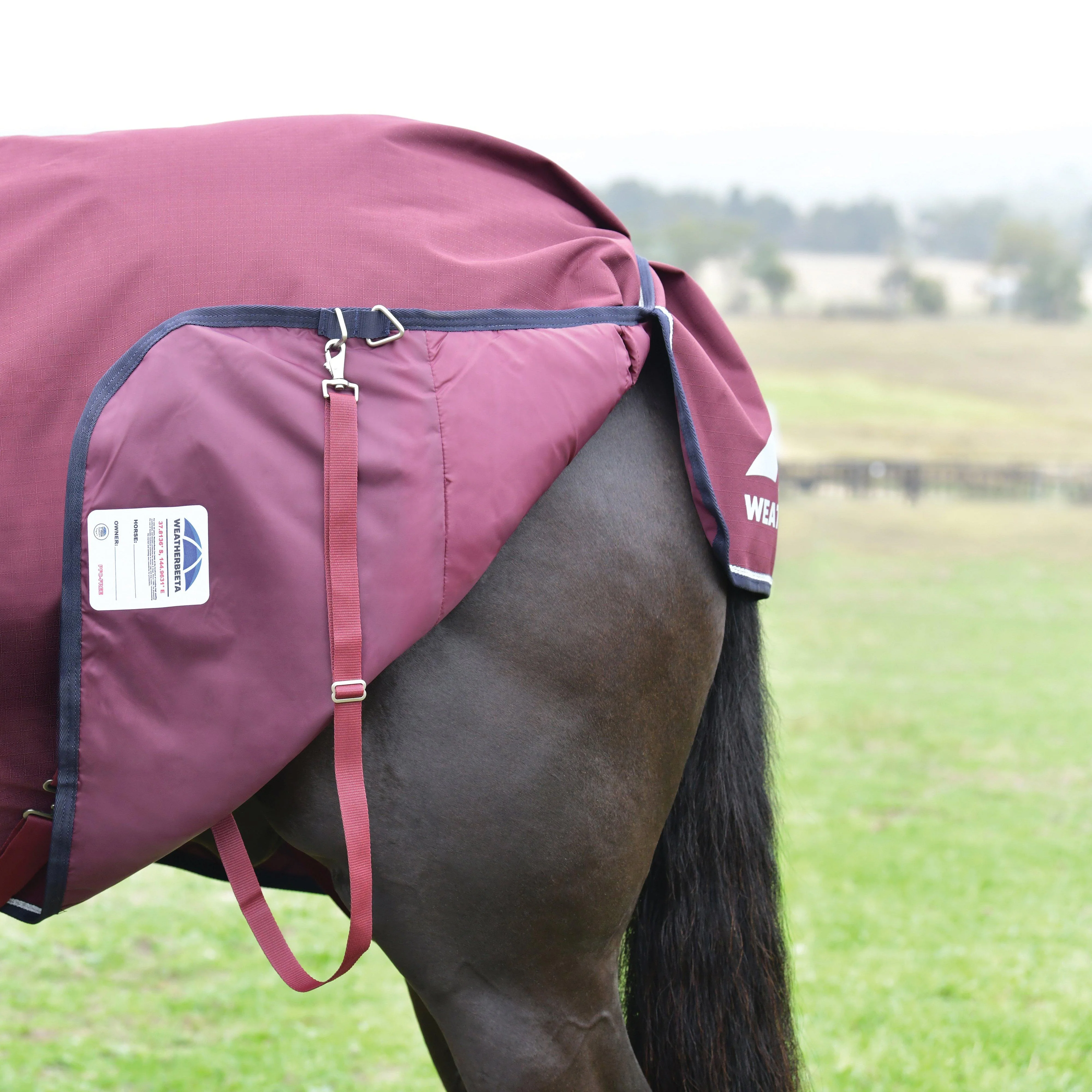 ComFiTec Essential Detach-A-Neck 220g Turnout Rug Burgundy - Image 6