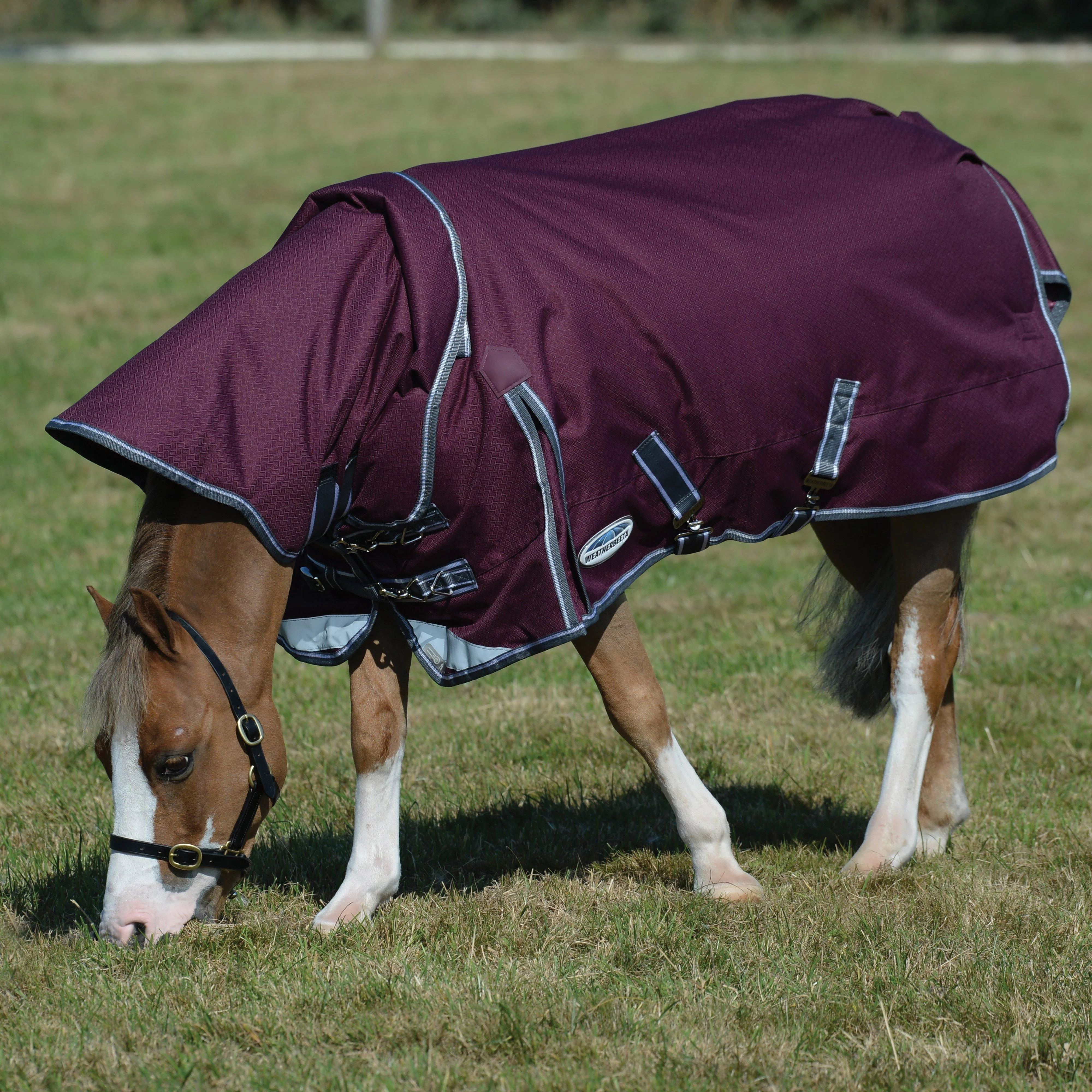 ComFiTec Plus Dynamic II Detach-A-Neck Mediumweight 220g Turnout Rug Maroon/Grey/White - Image 2