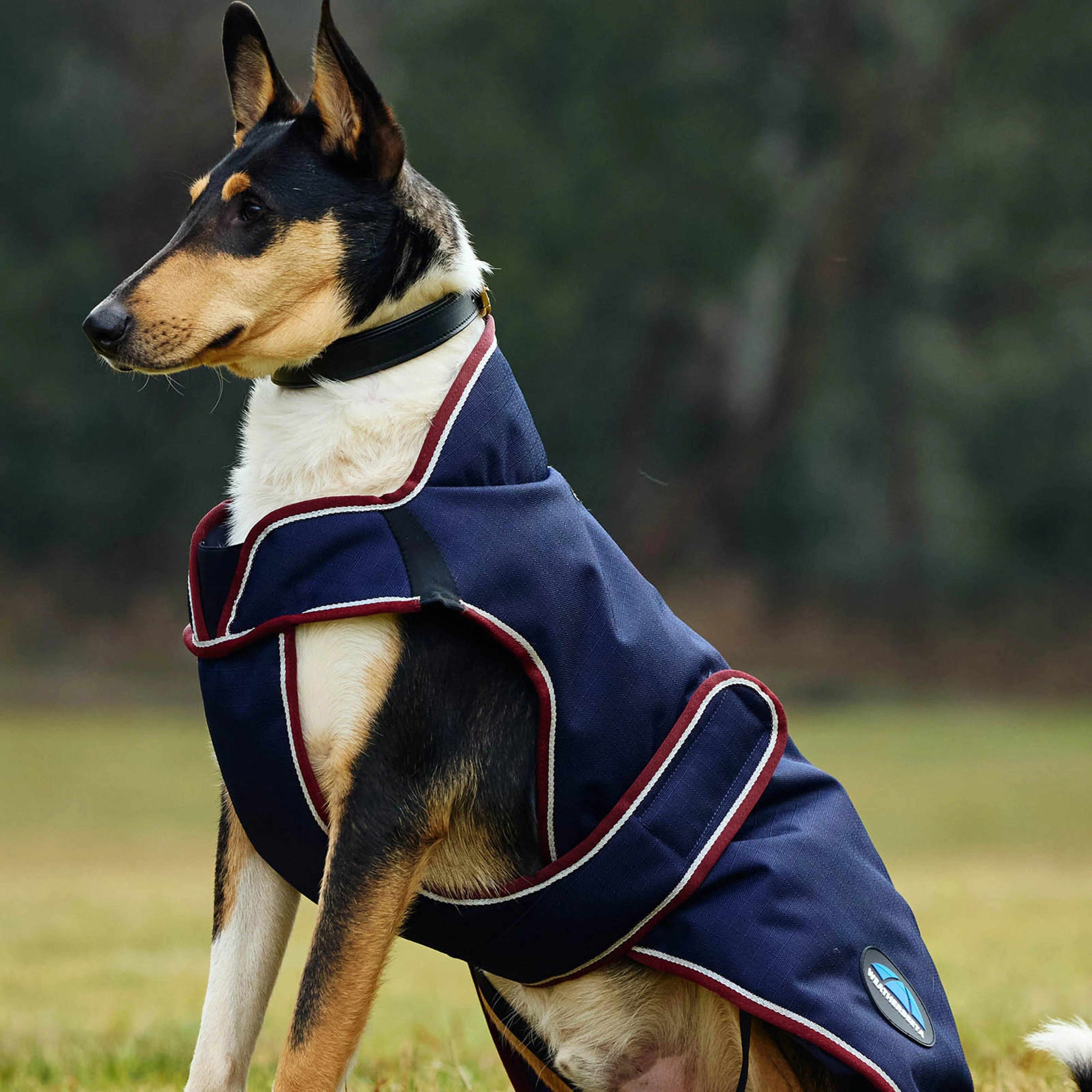 ComFiTec Premier Deluxe Waterproof Dog Coat - Image 3