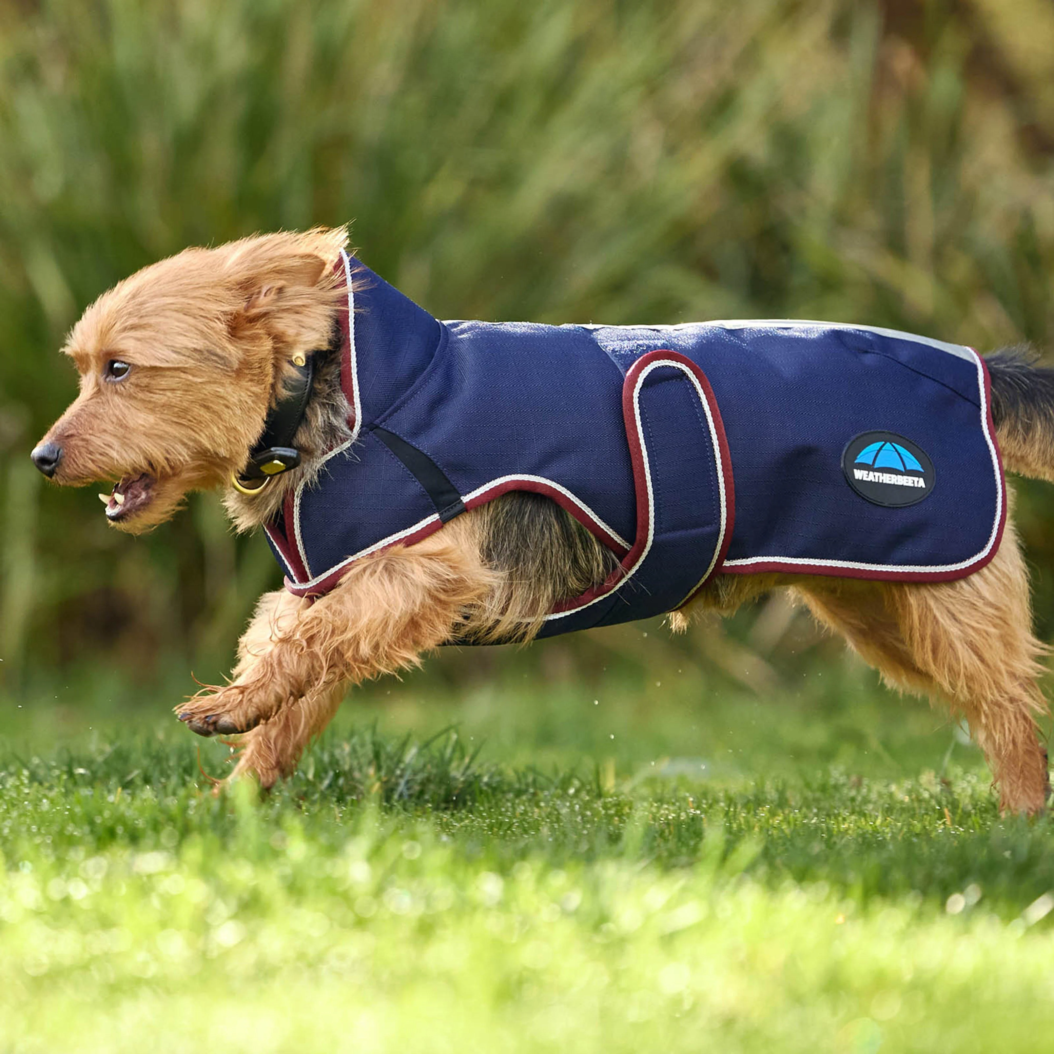 ComFiTec Premier Deluxe Waterproof Dog Coat - Image 4