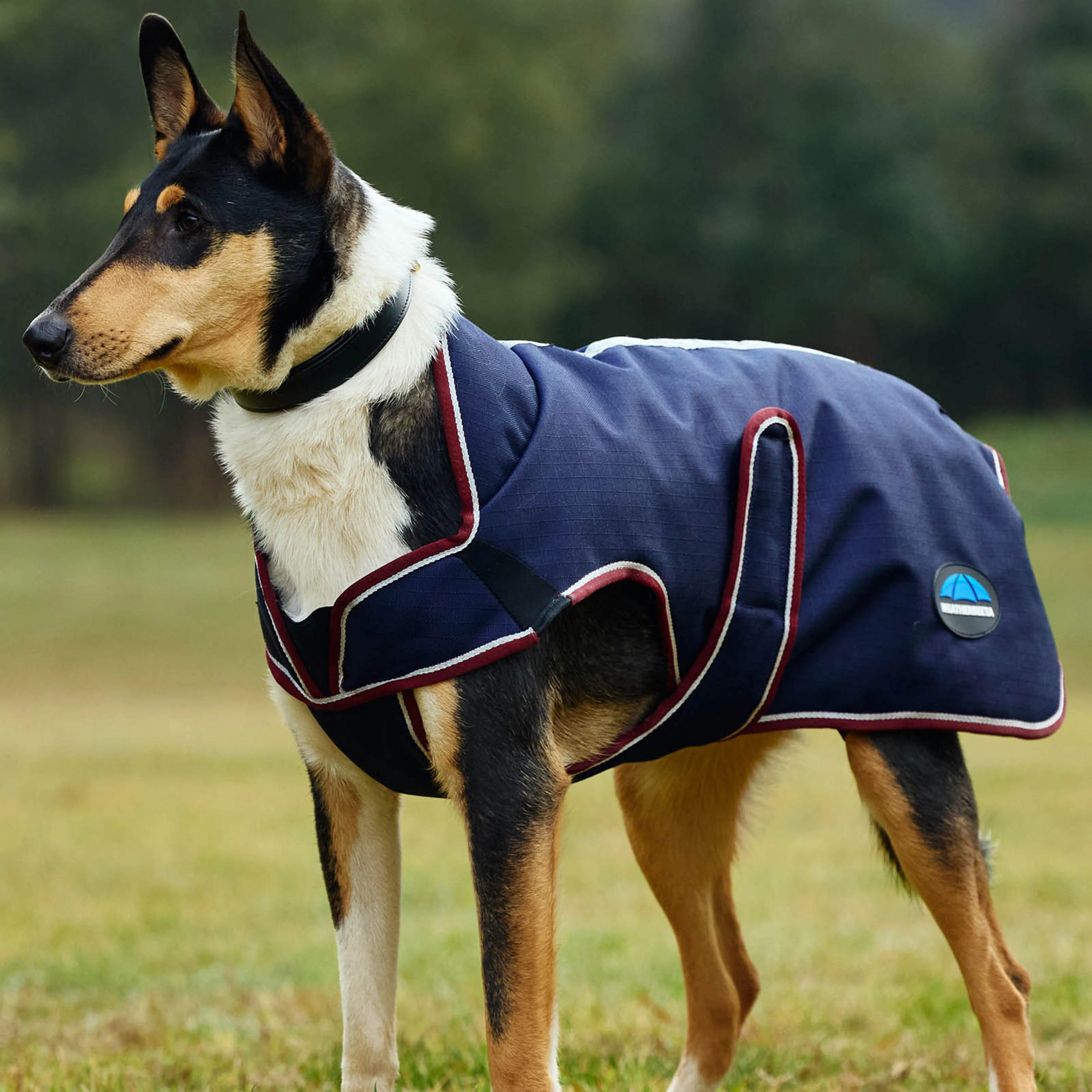 ComFiTec Premier Deluxe Waterproof Dog Coat - Image 6
