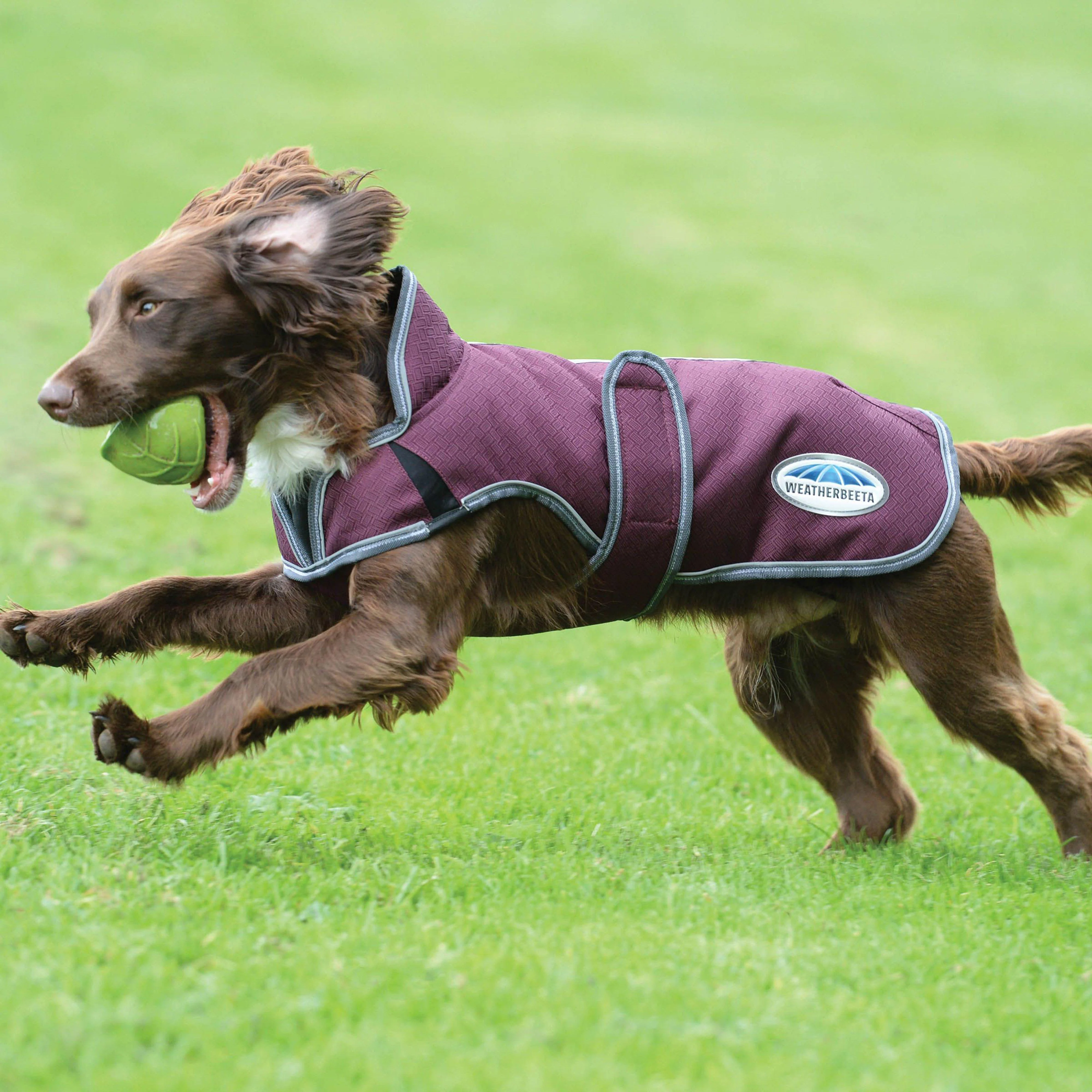 Comfitec Premier Parka Dog Coat Medium Purple - Image 3