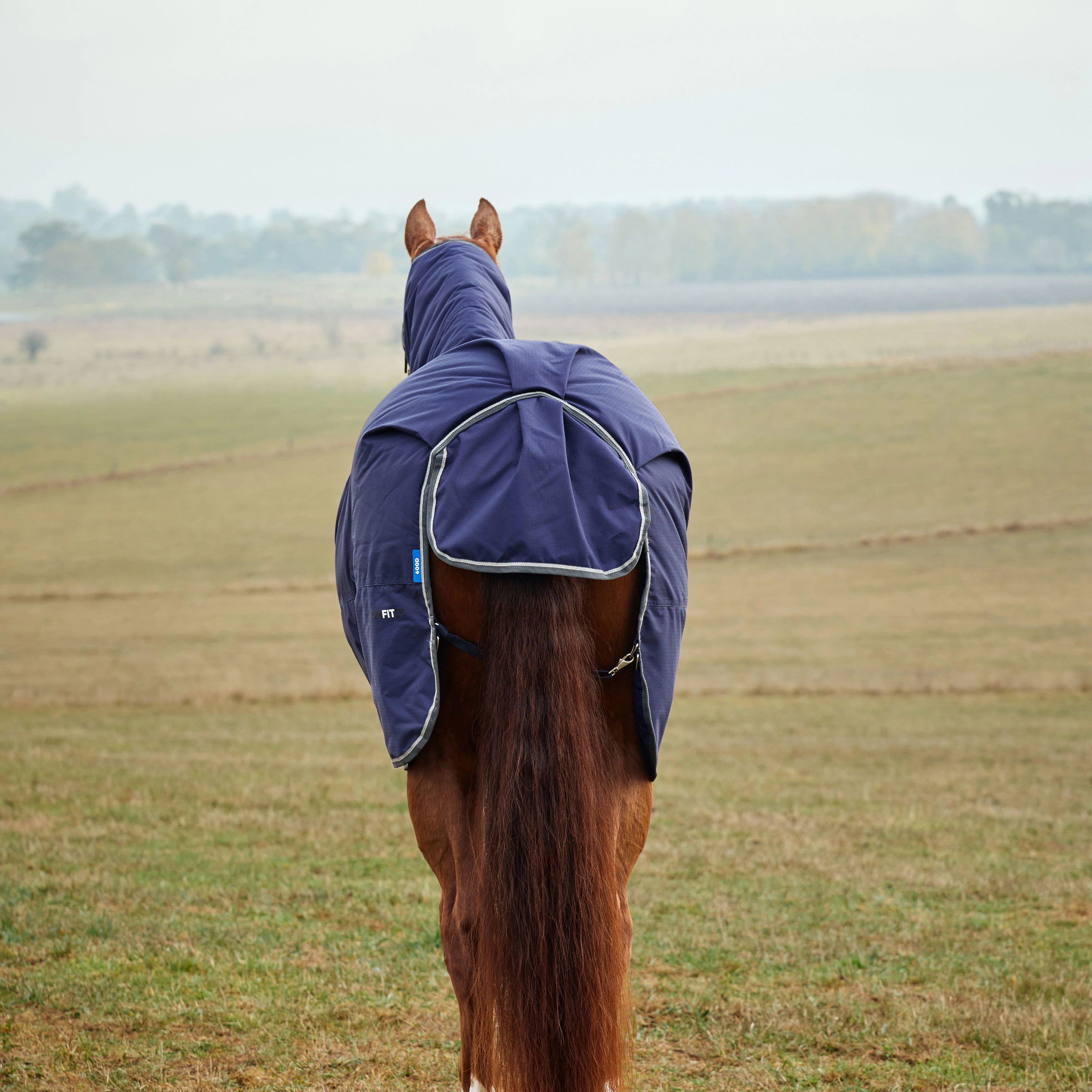 ComFiTec Tyro Combo Neck 50g Lite Plus Turnout Rug Navy - Image 6