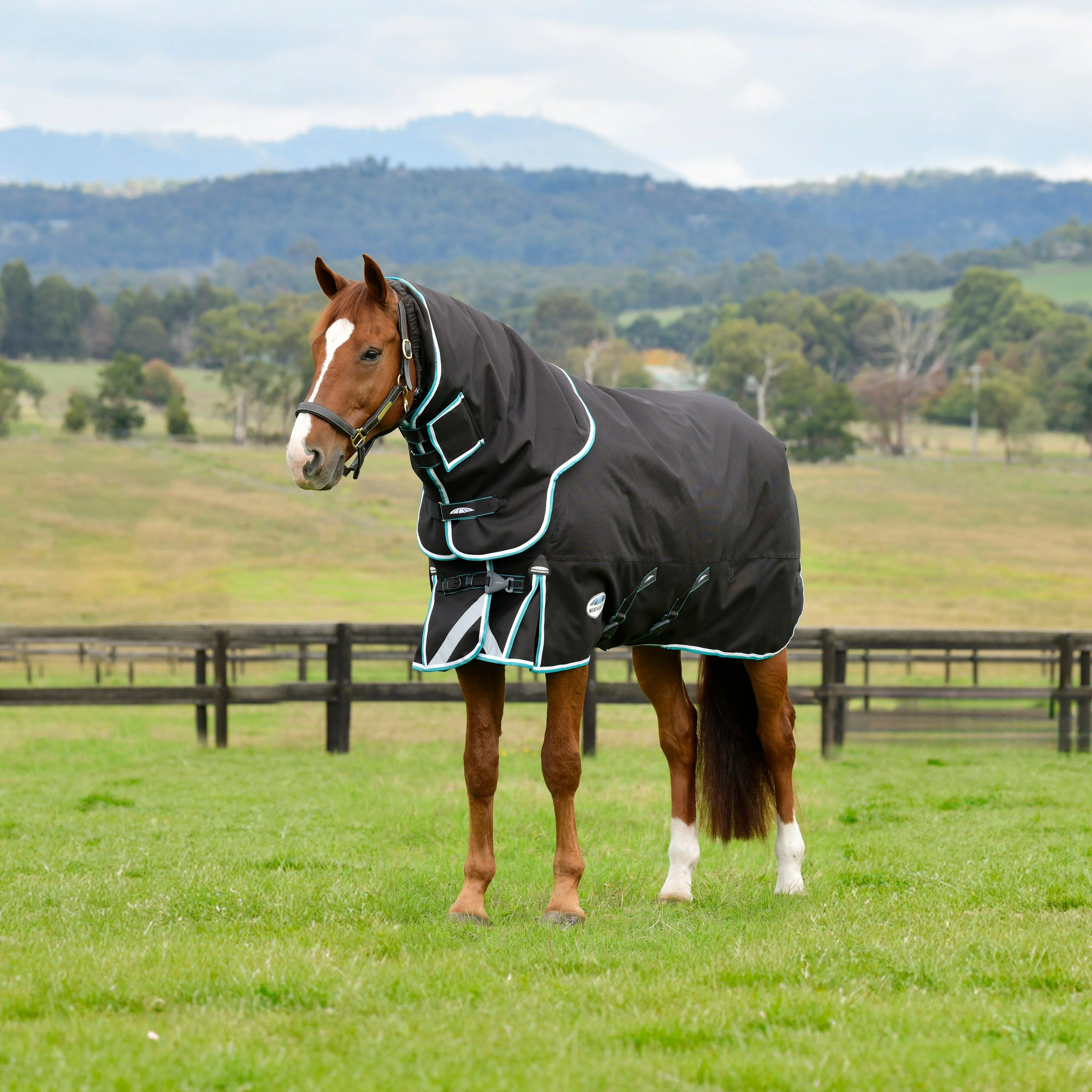 ComFiTec Ultra Comfi Detach-A-Neck 220g Mediumweight Turnout Rug Charcoal/Teal Blue/White - Image 2
