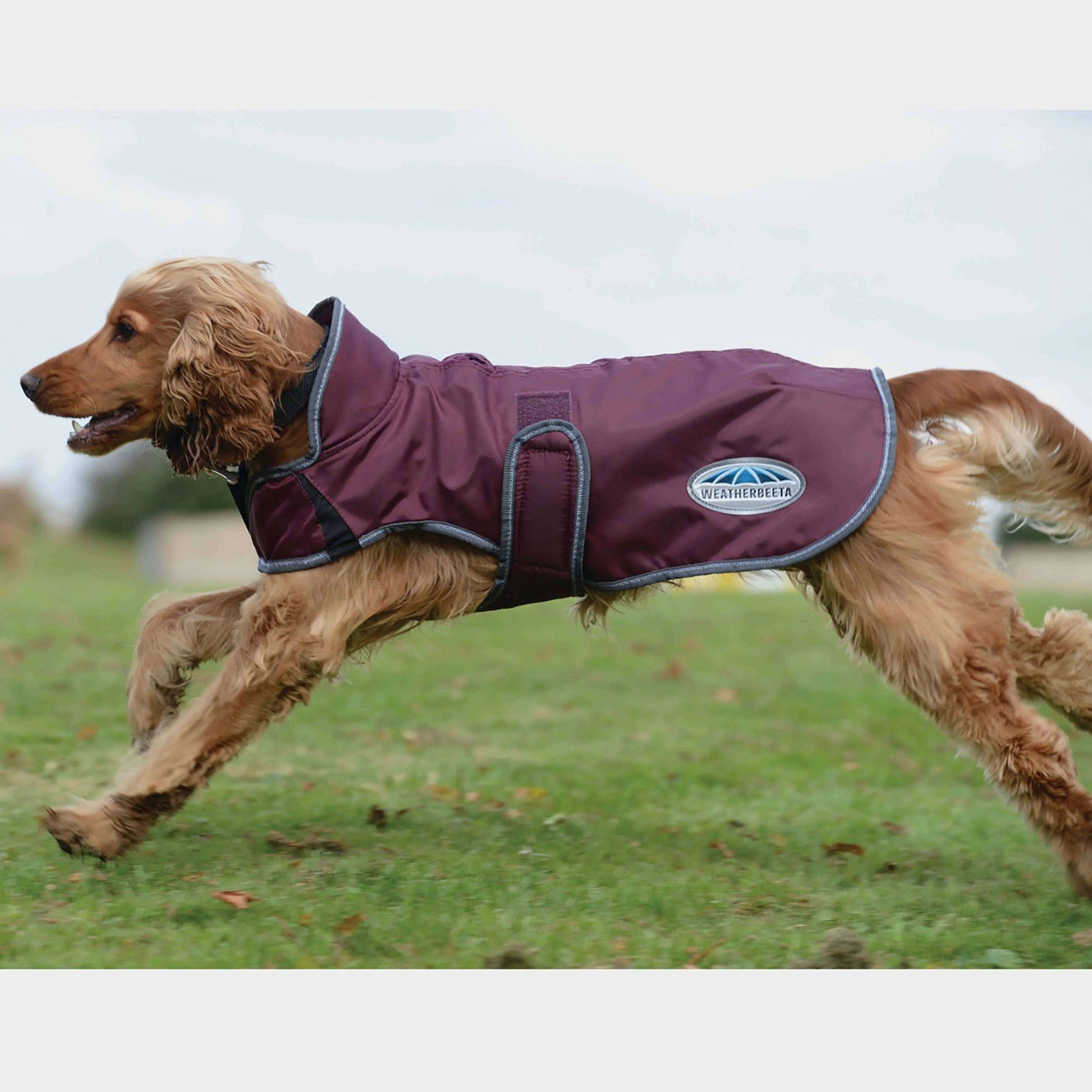ComFiTec Windbreaker Deluxe Dog Coat Maroon/Grey/White - Image 5