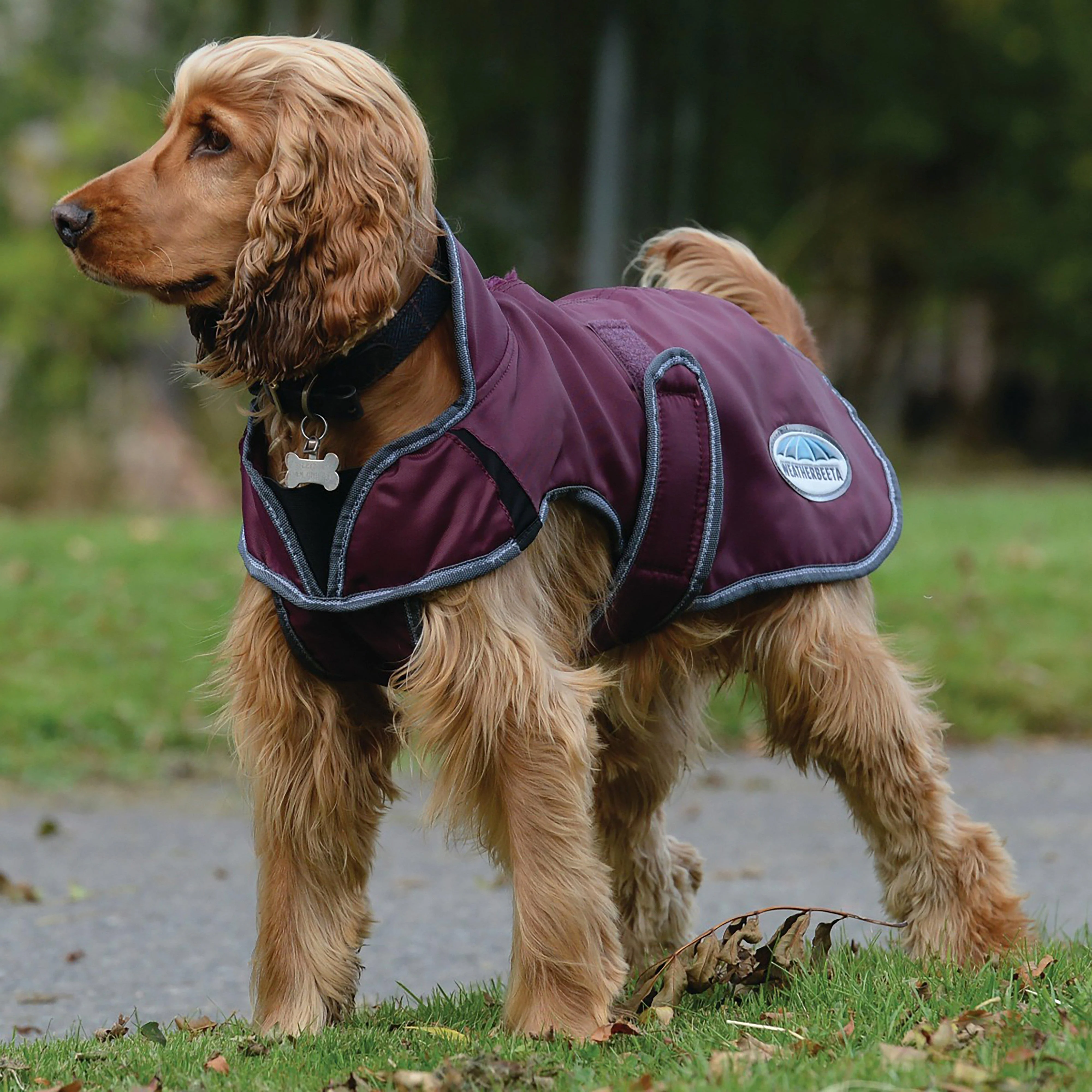 ComFiTec Windbreaker Deluxe Dog Coat Maroon/Grey/White - Image 6