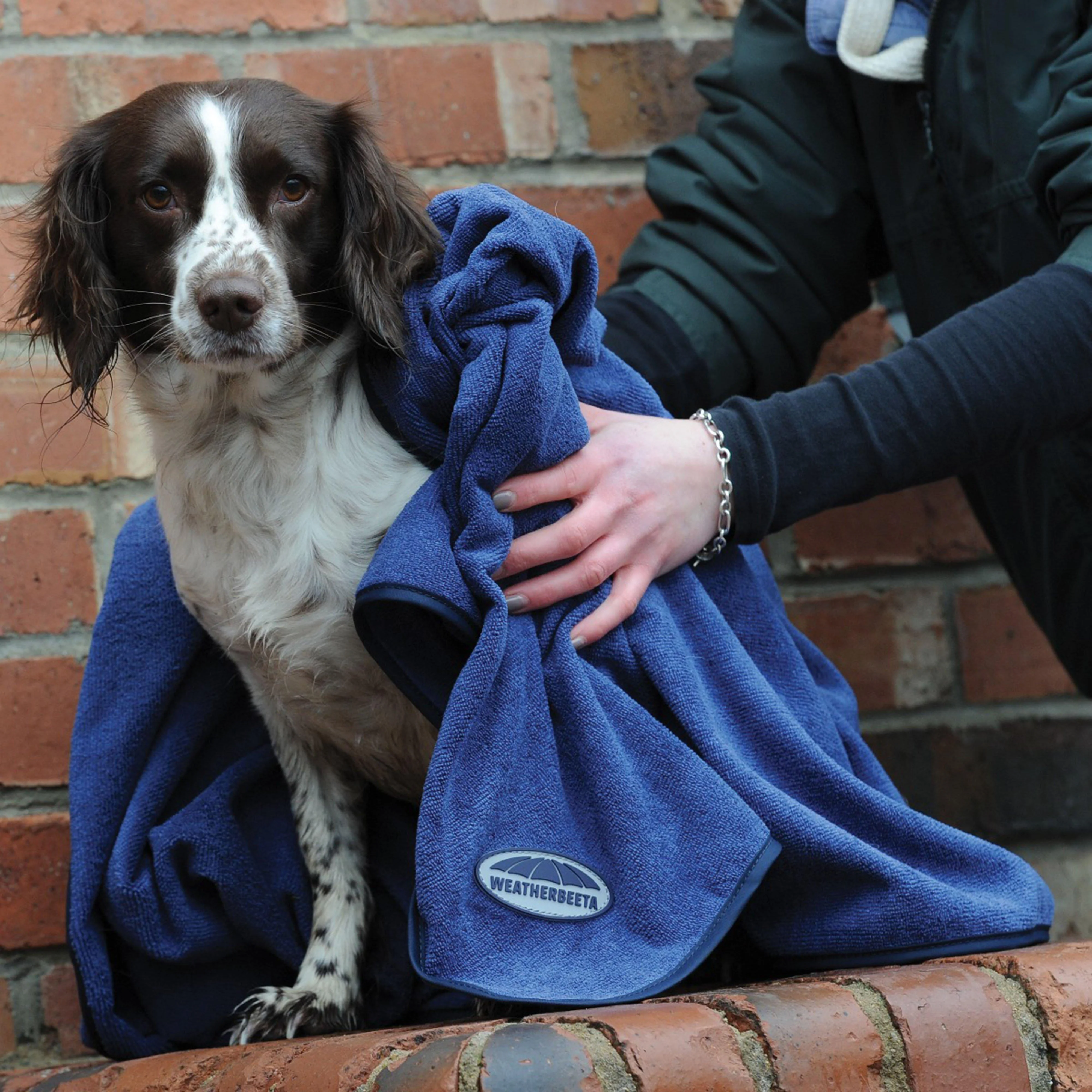 Dog Towel Blue - Image 2