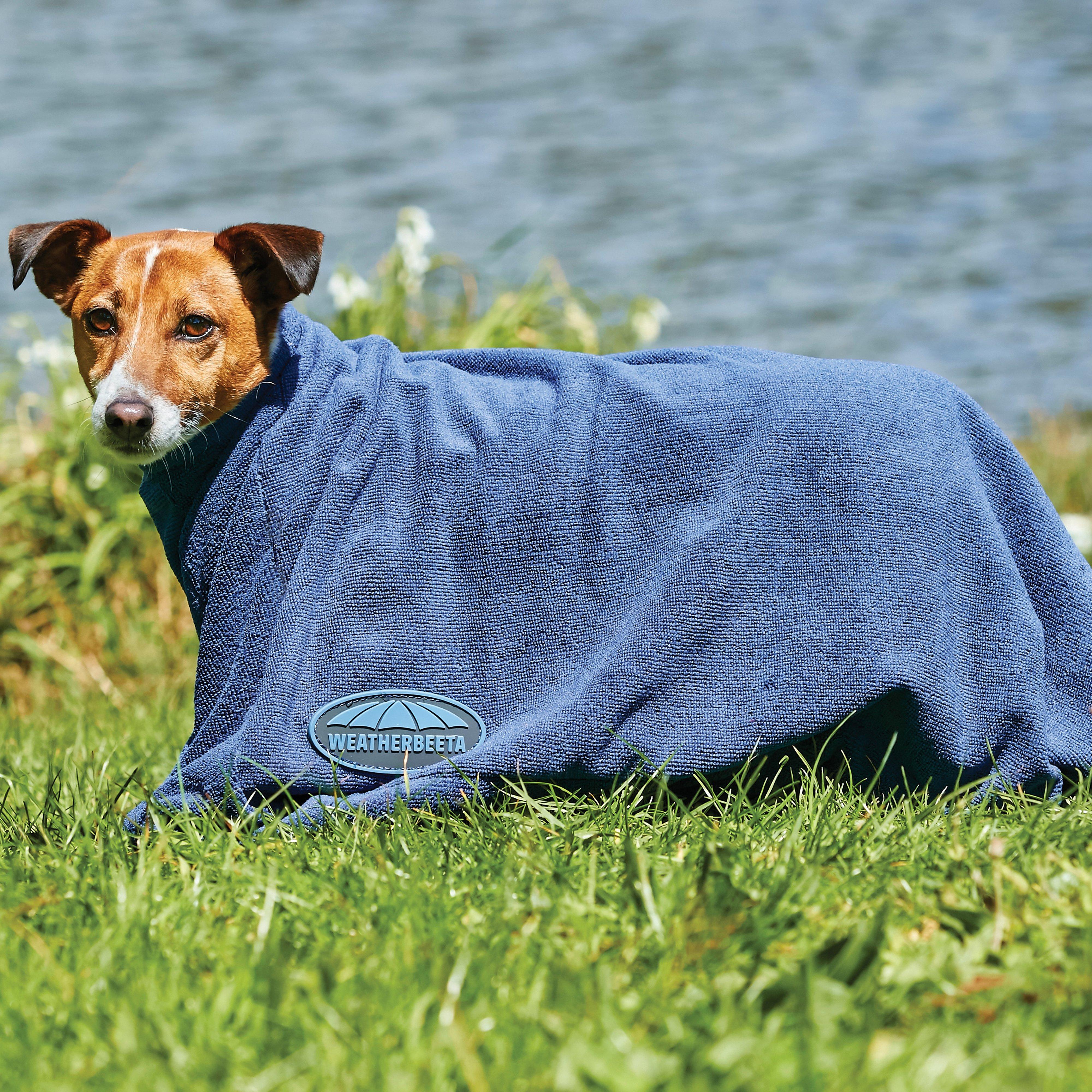 Dry-Dog Bag Navy - Image 2