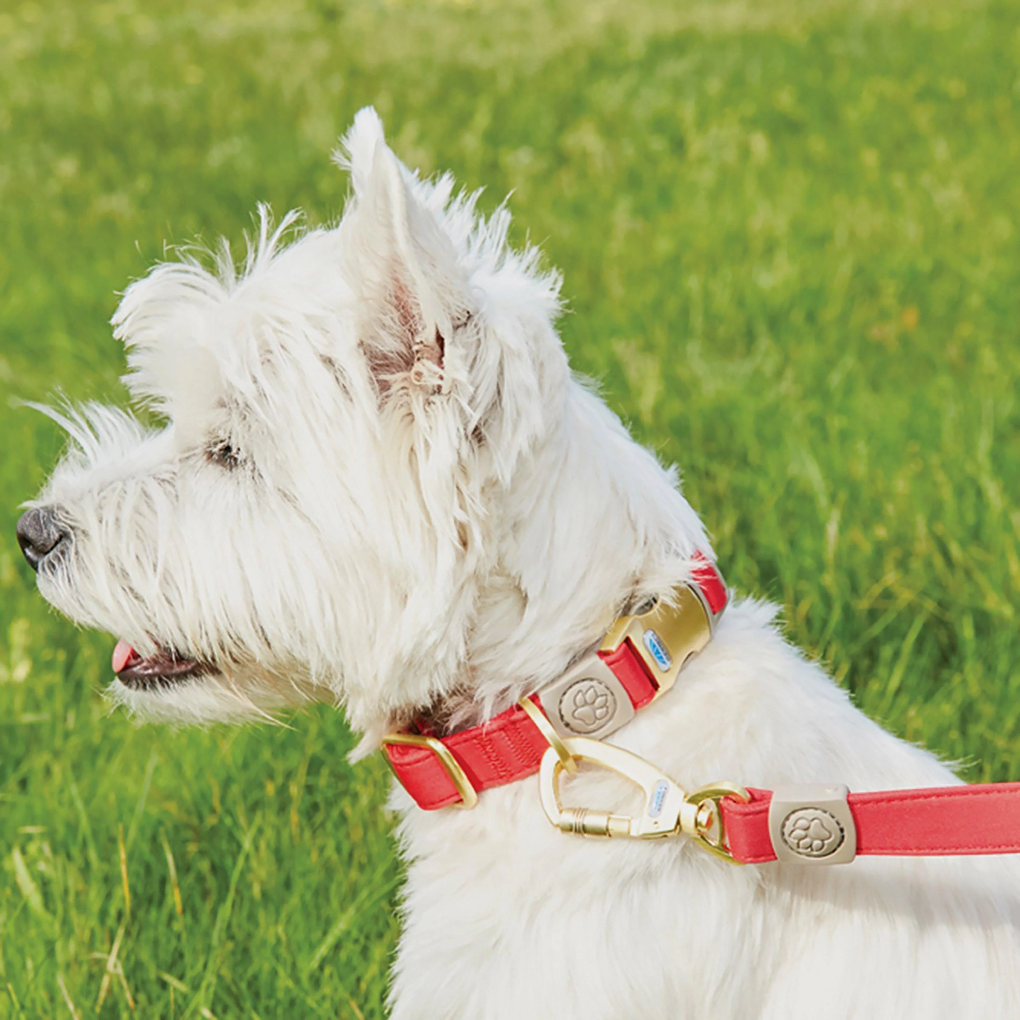 Elegance Dog Lead Red - Image 2