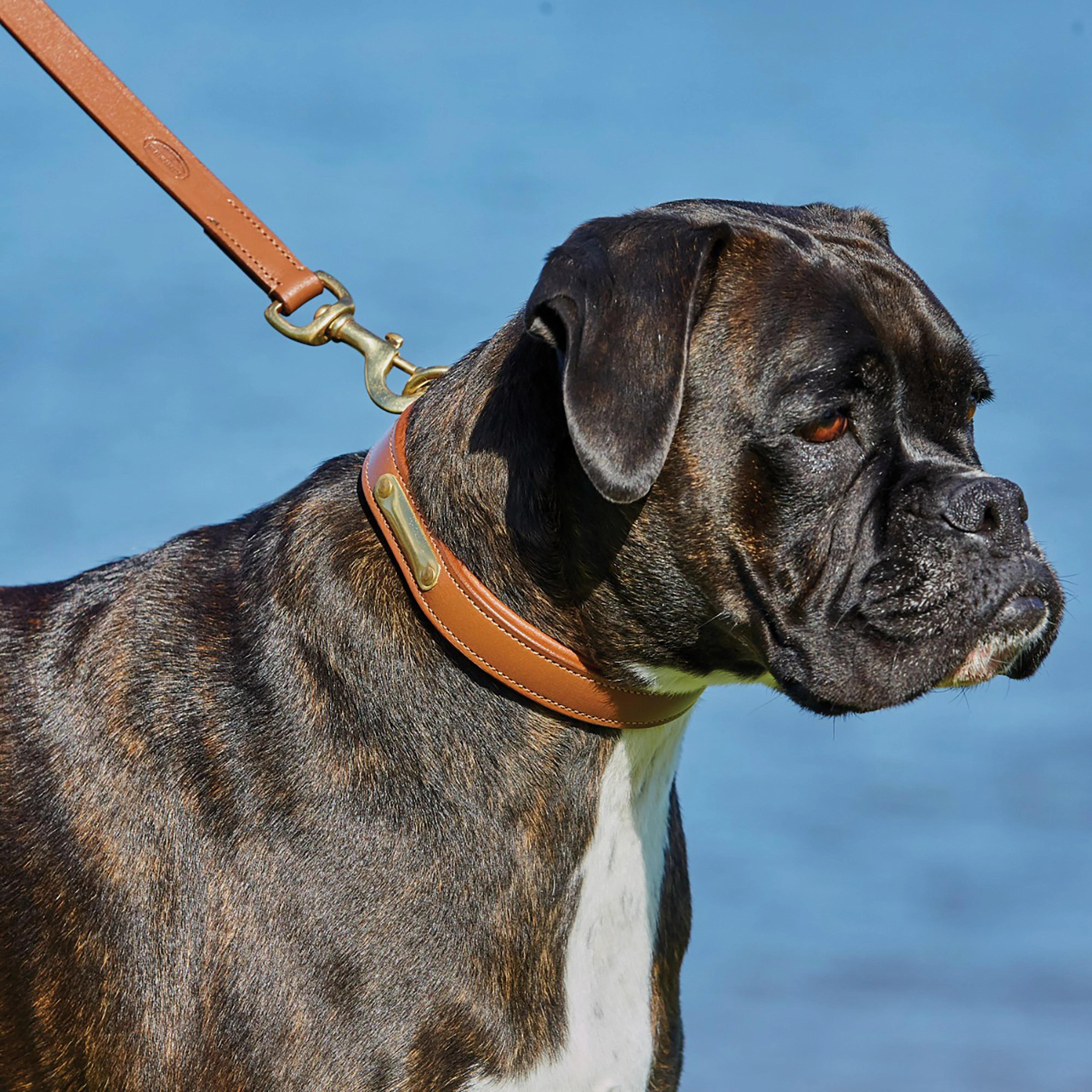 Leather Dog Lead Tan - Image 2