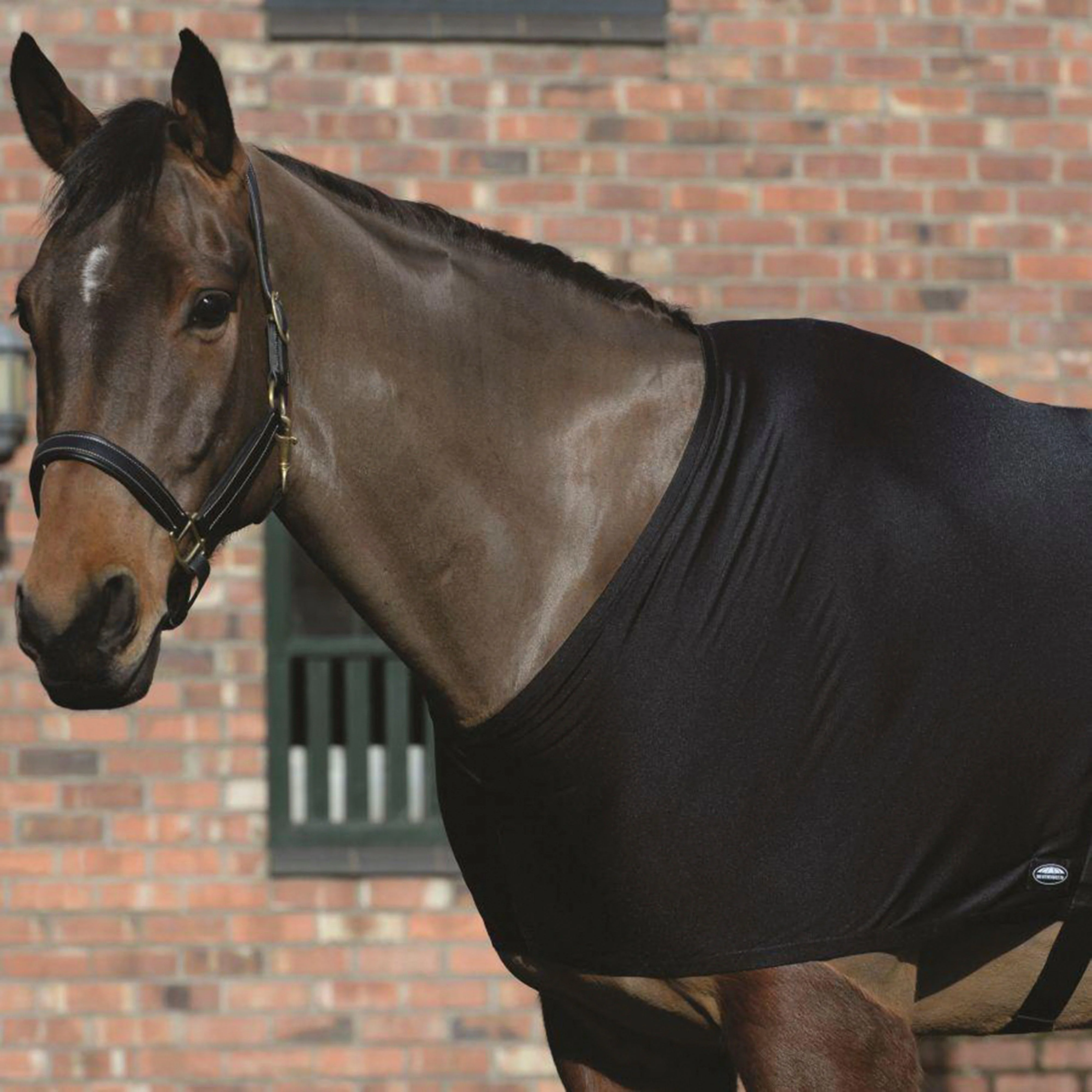 Lycra Shoulder Guard Black - Image 2