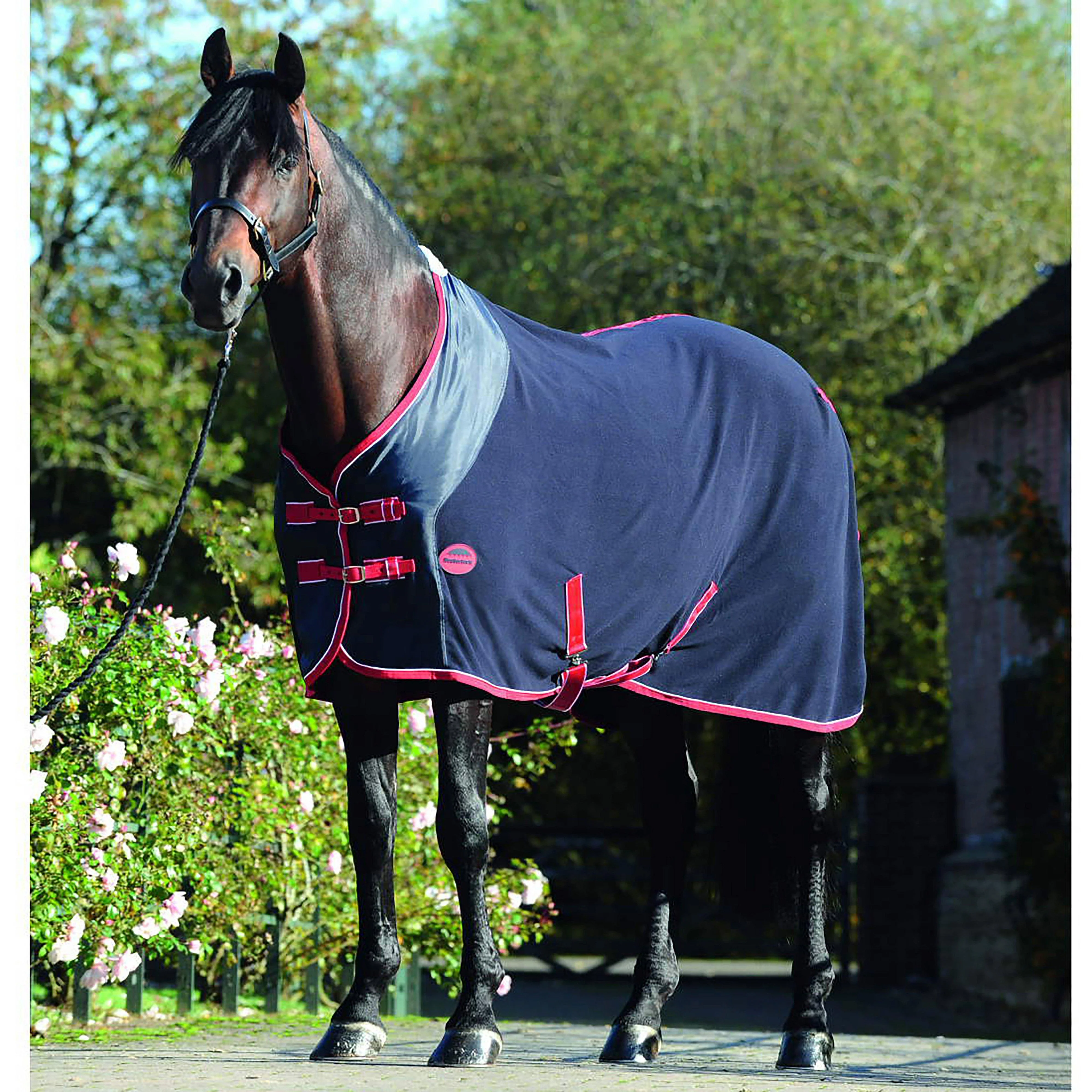 Polar Fleece Cooler Navy/Red/White - Image 2