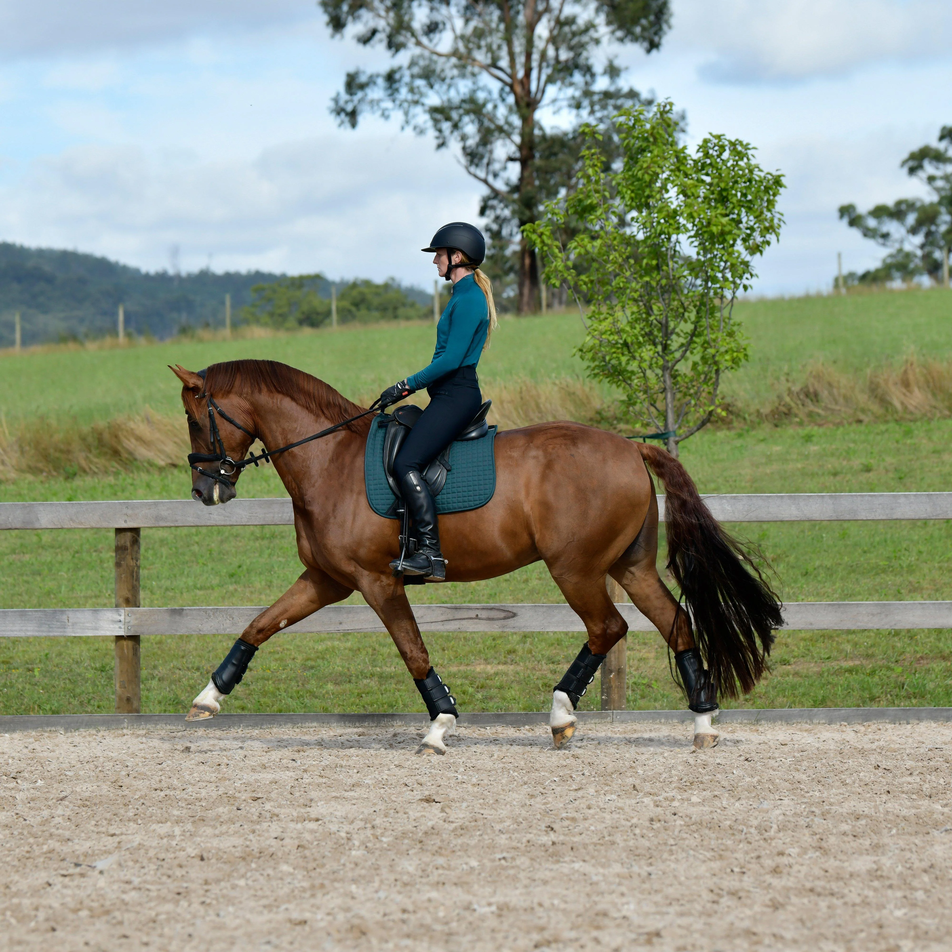 Prime Dressage Saddle Pad Reflecting Pond - Image 3